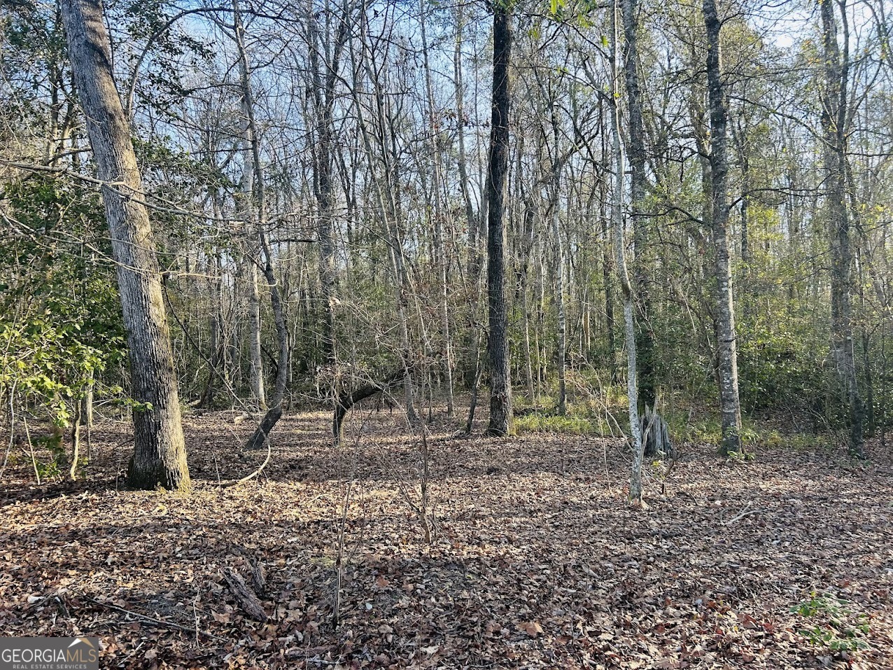 0 Bickley Road Butler GA 31006