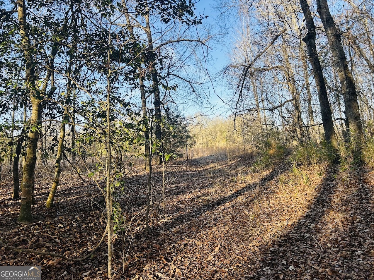 0 Bickley Road Butler GA 31006