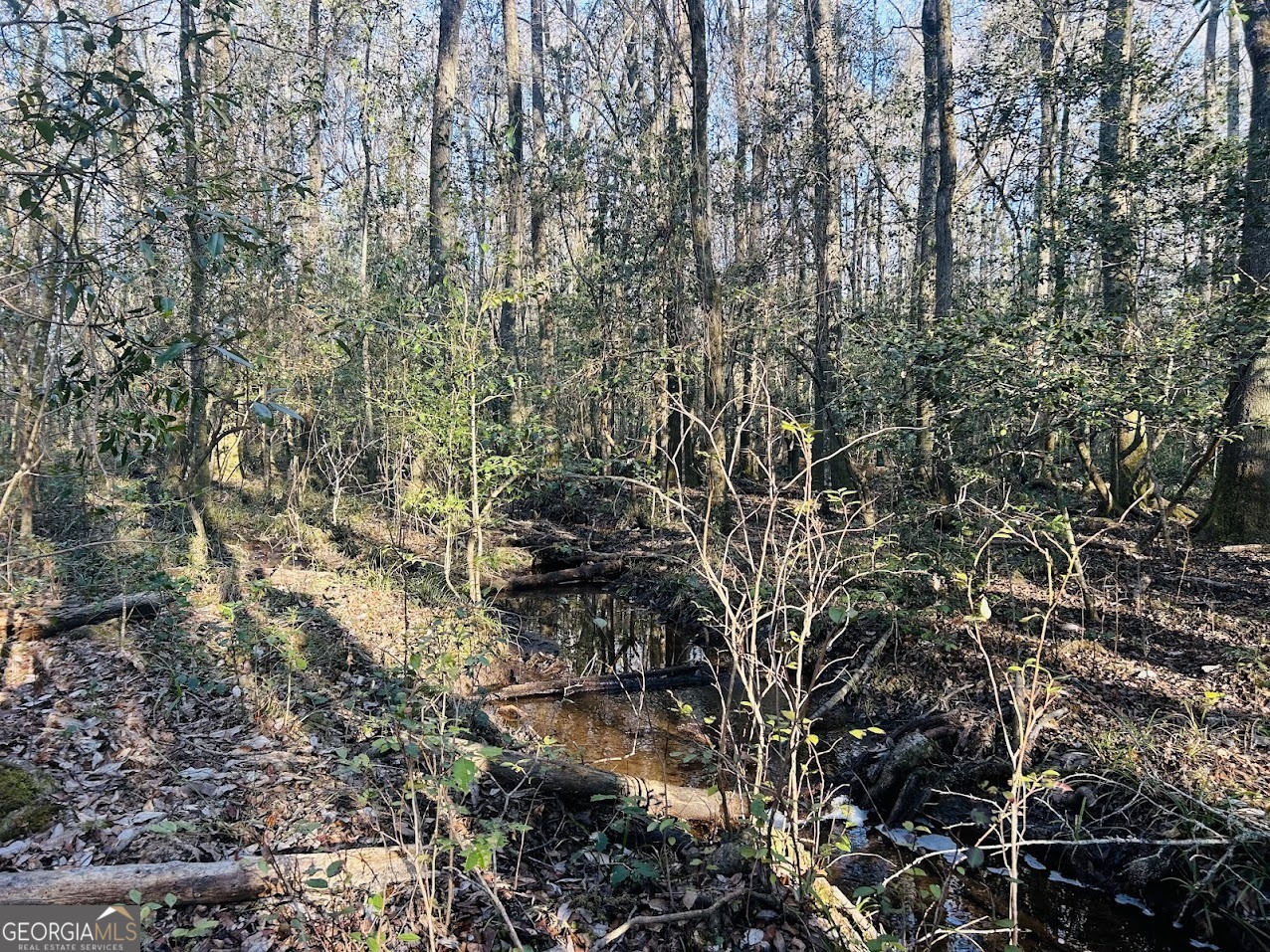 0 Bickley Road Butler GA 31006