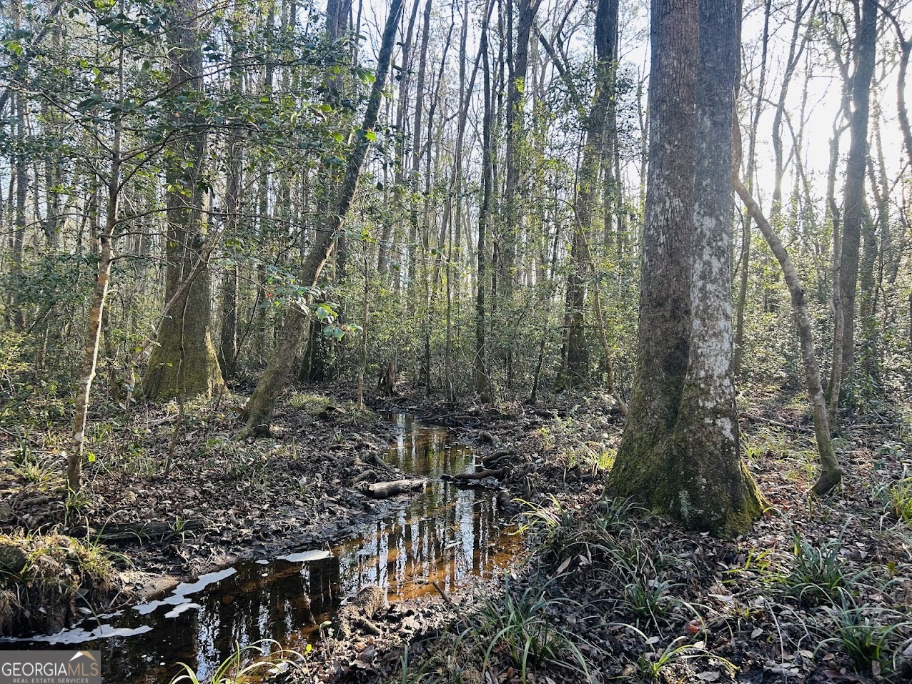 0 Bickley Road Butler GA 31006