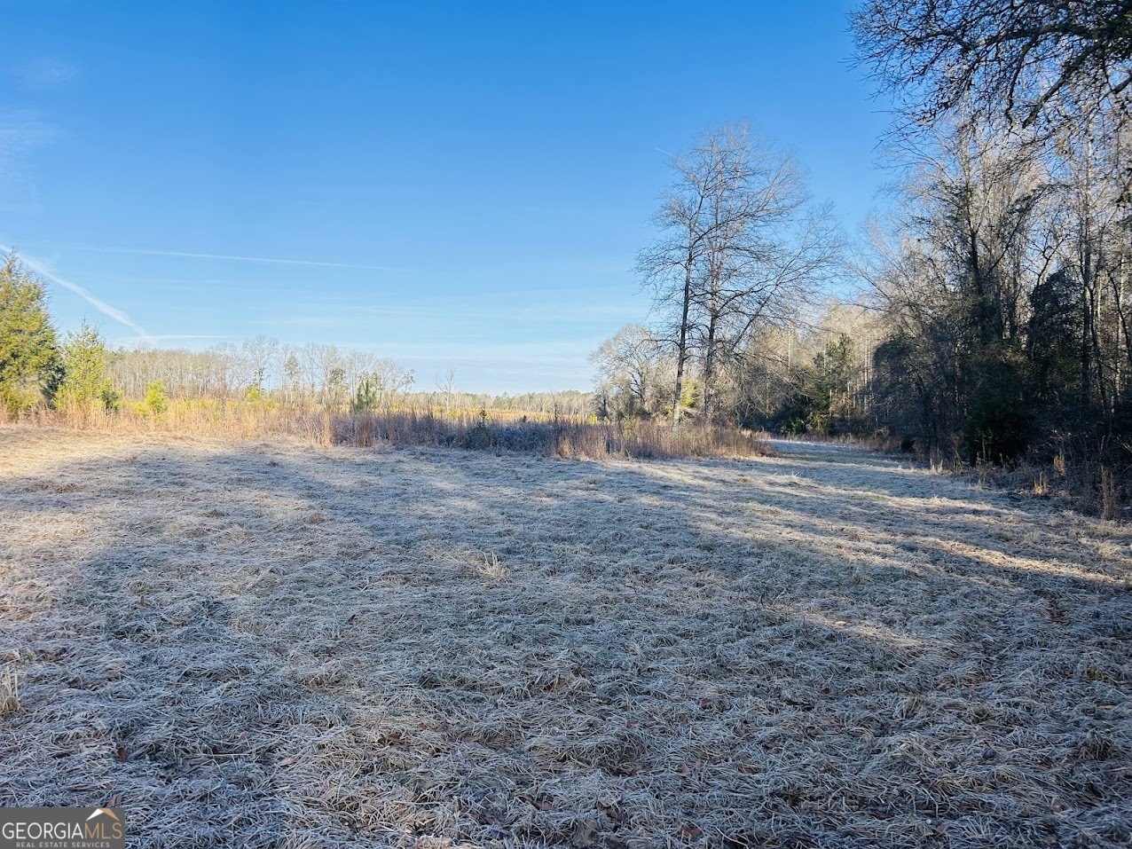 0 Bickley Road Butler GA 31006