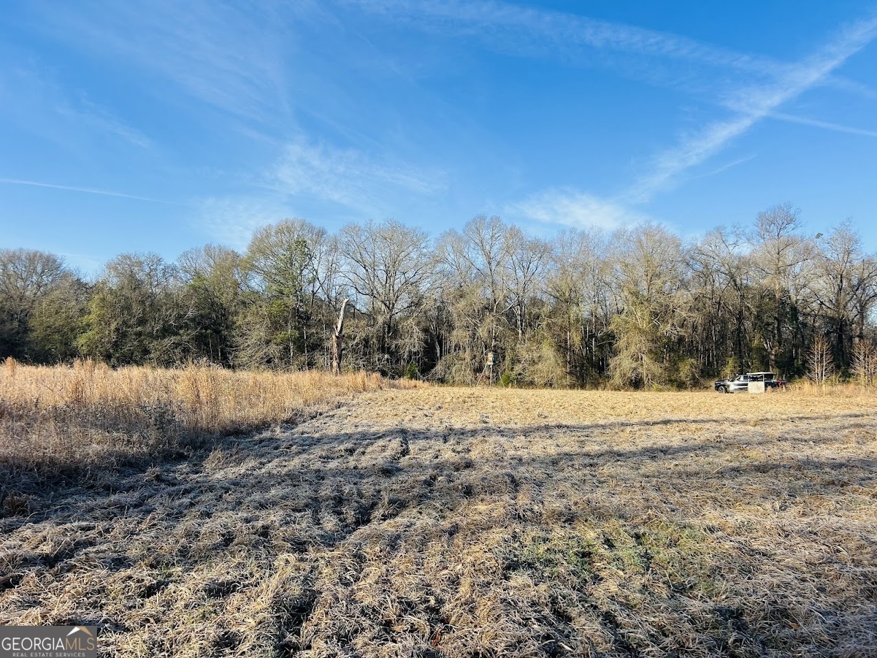 0 Bickley Road Butler GA 31006