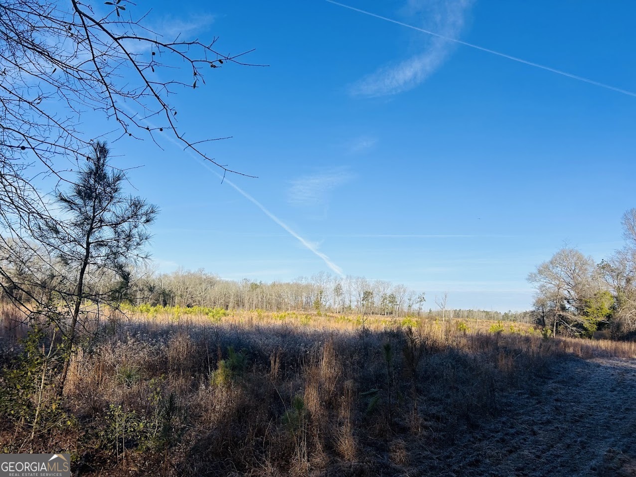 0 Bickley Road Butler GA 31006