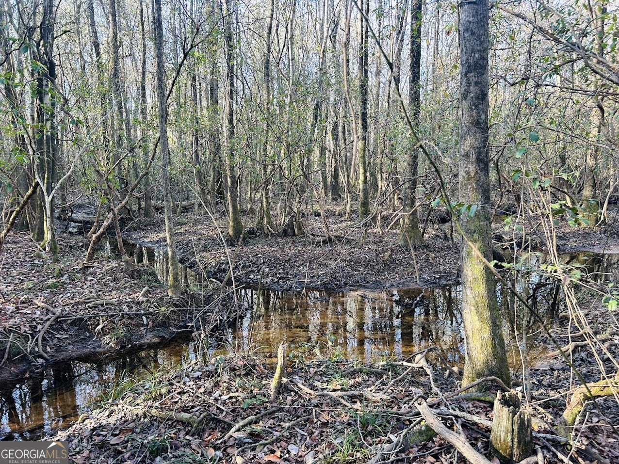0 Bickley Road Butler GA 31006