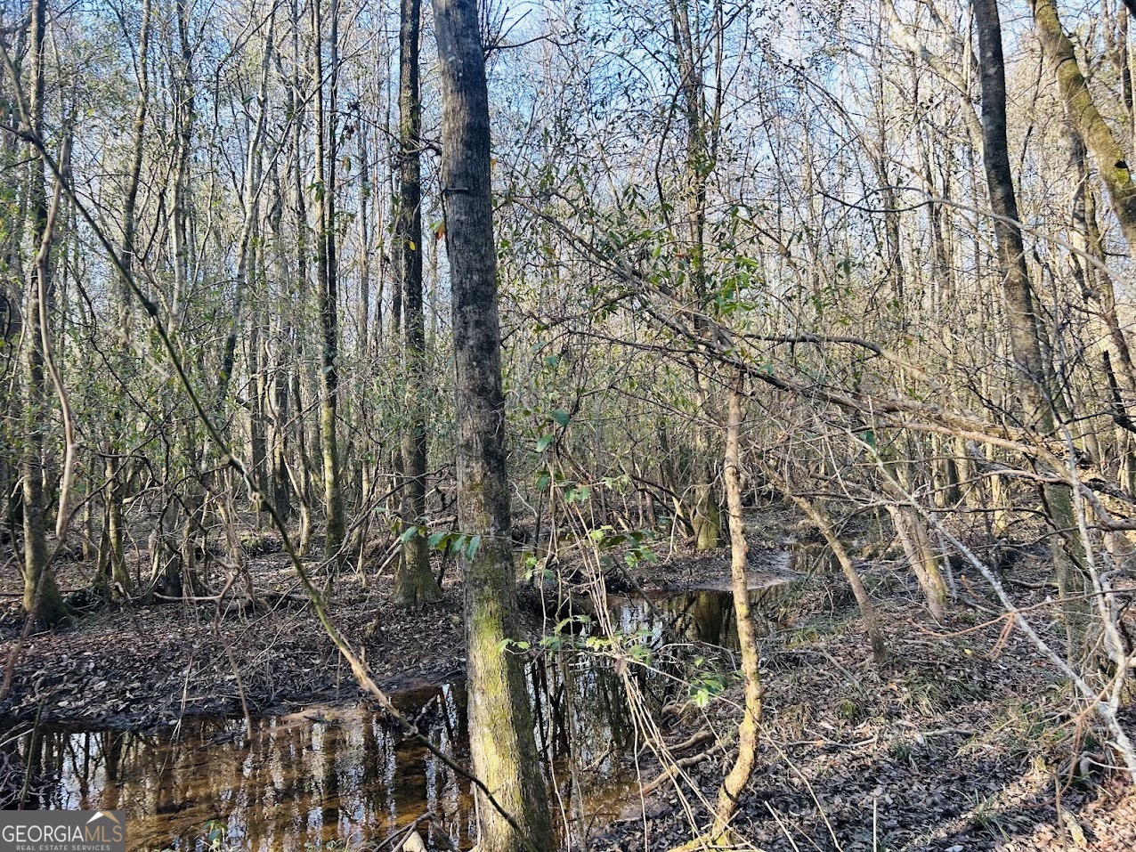 0 Bickley Road Butler GA 31006