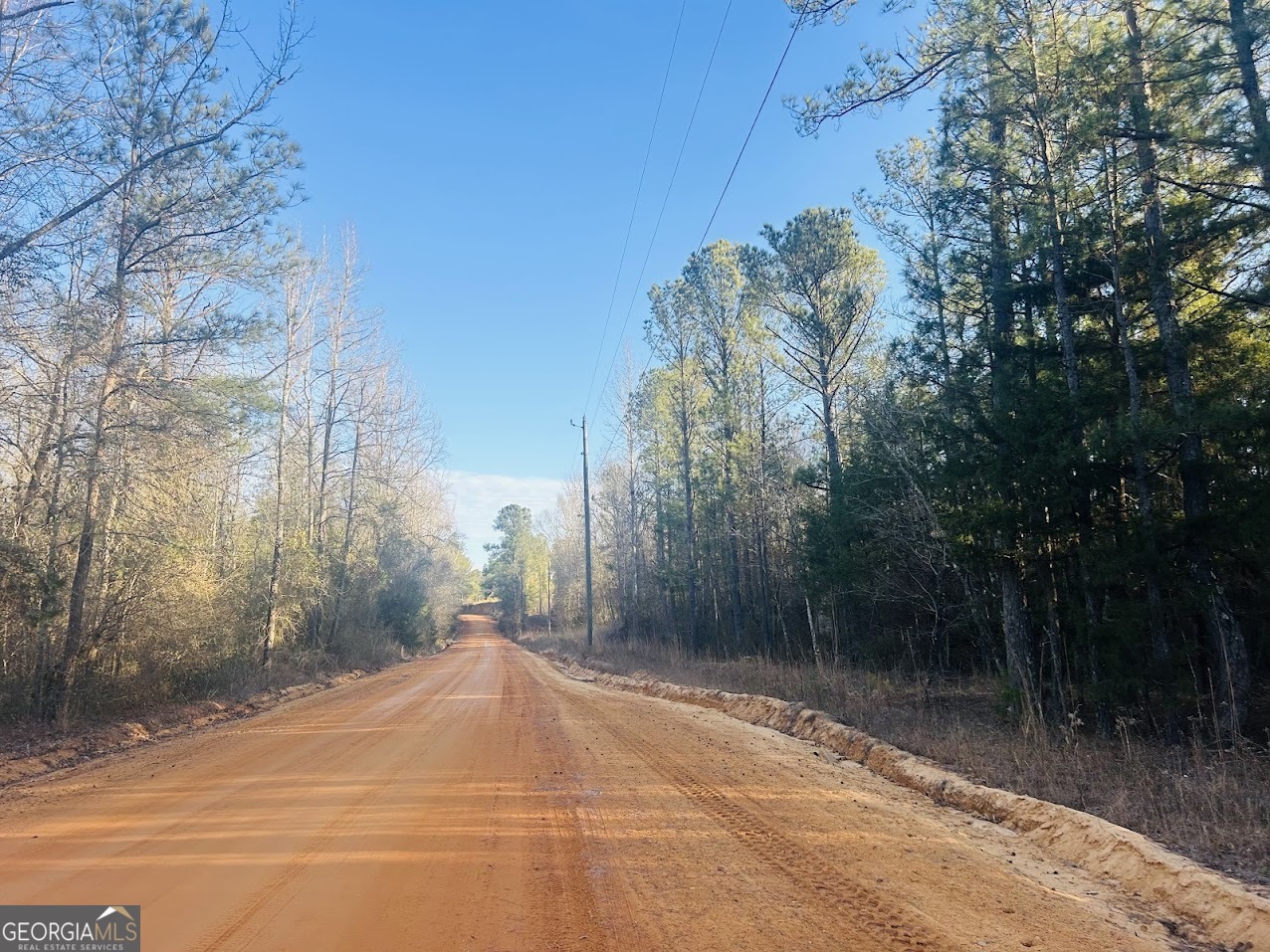0 Bickley Road Butler GA 31006