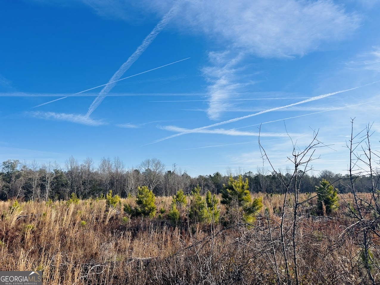 0 Bickley Road Butler GA 31006