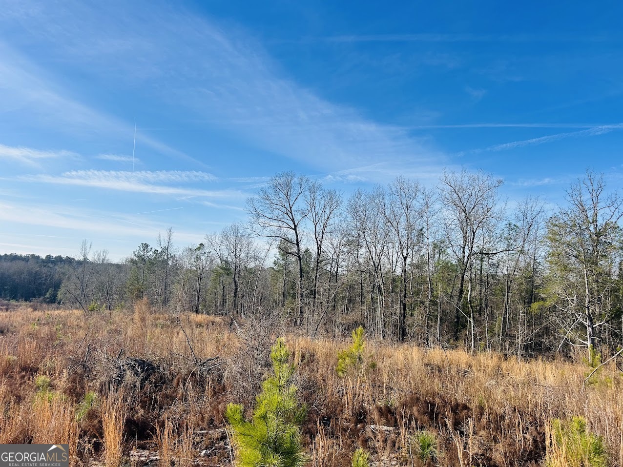 0 Bickley Road Butler GA 31006