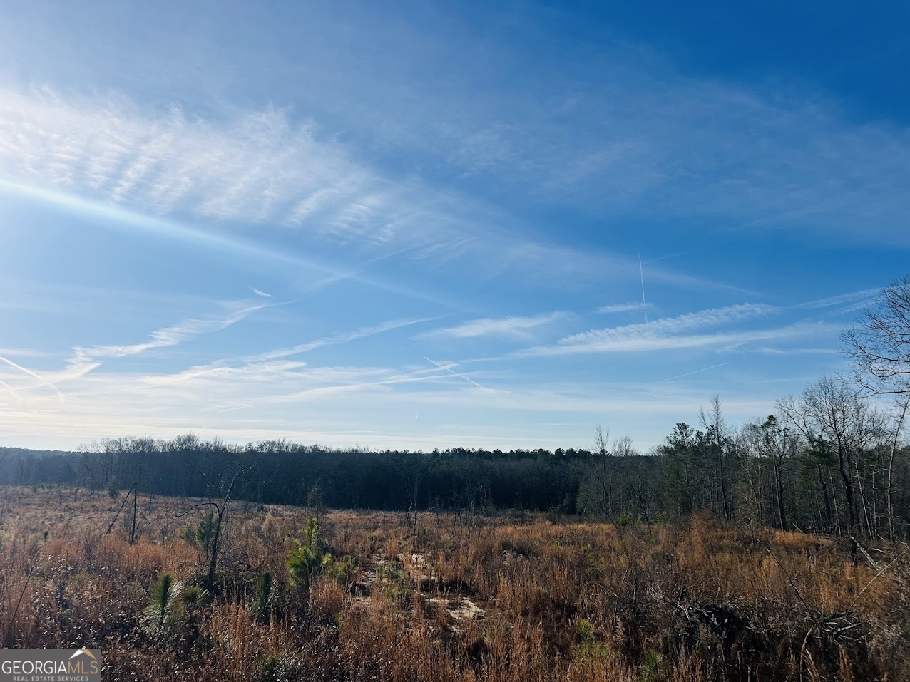 0 Bickley Road Butler GA 31006