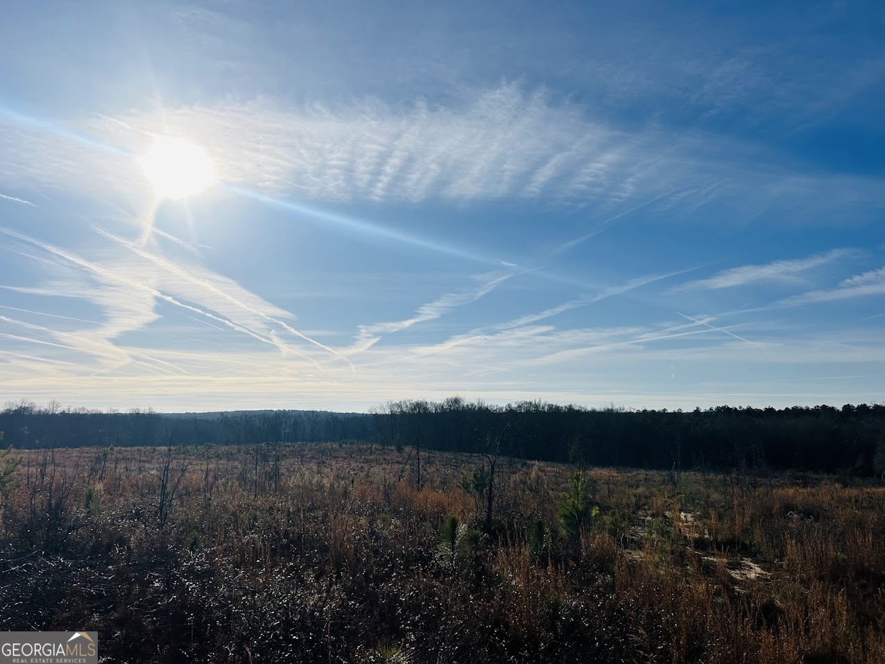 0 Bickley Road Butler GA 31006