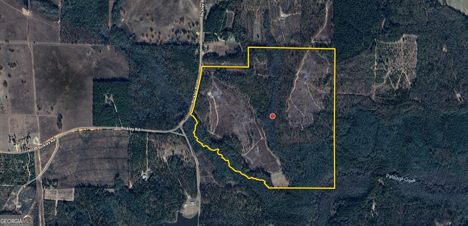 0 Bickley Road Butler GA 31006