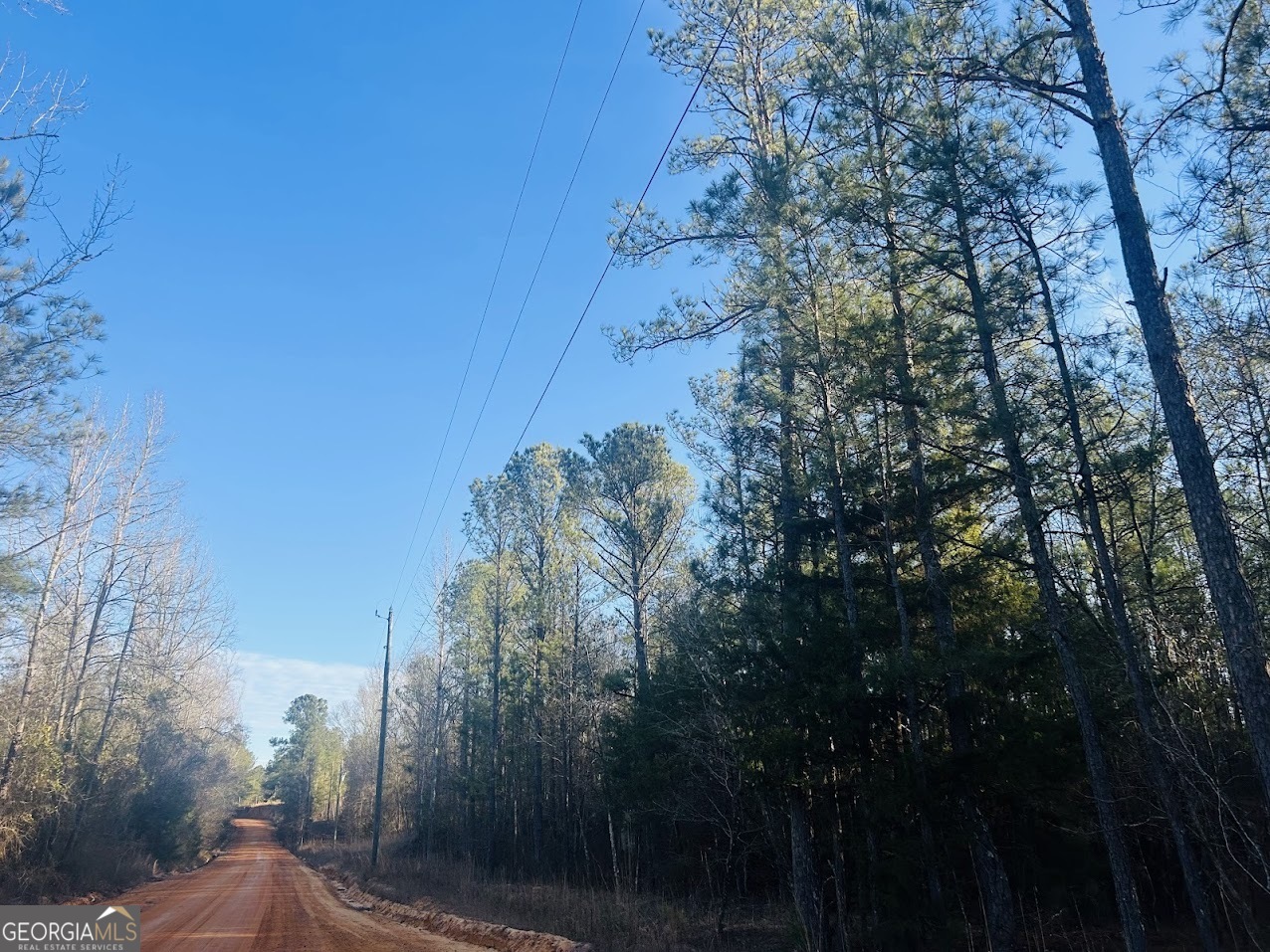 0 Bickley Road Butler GA 31006