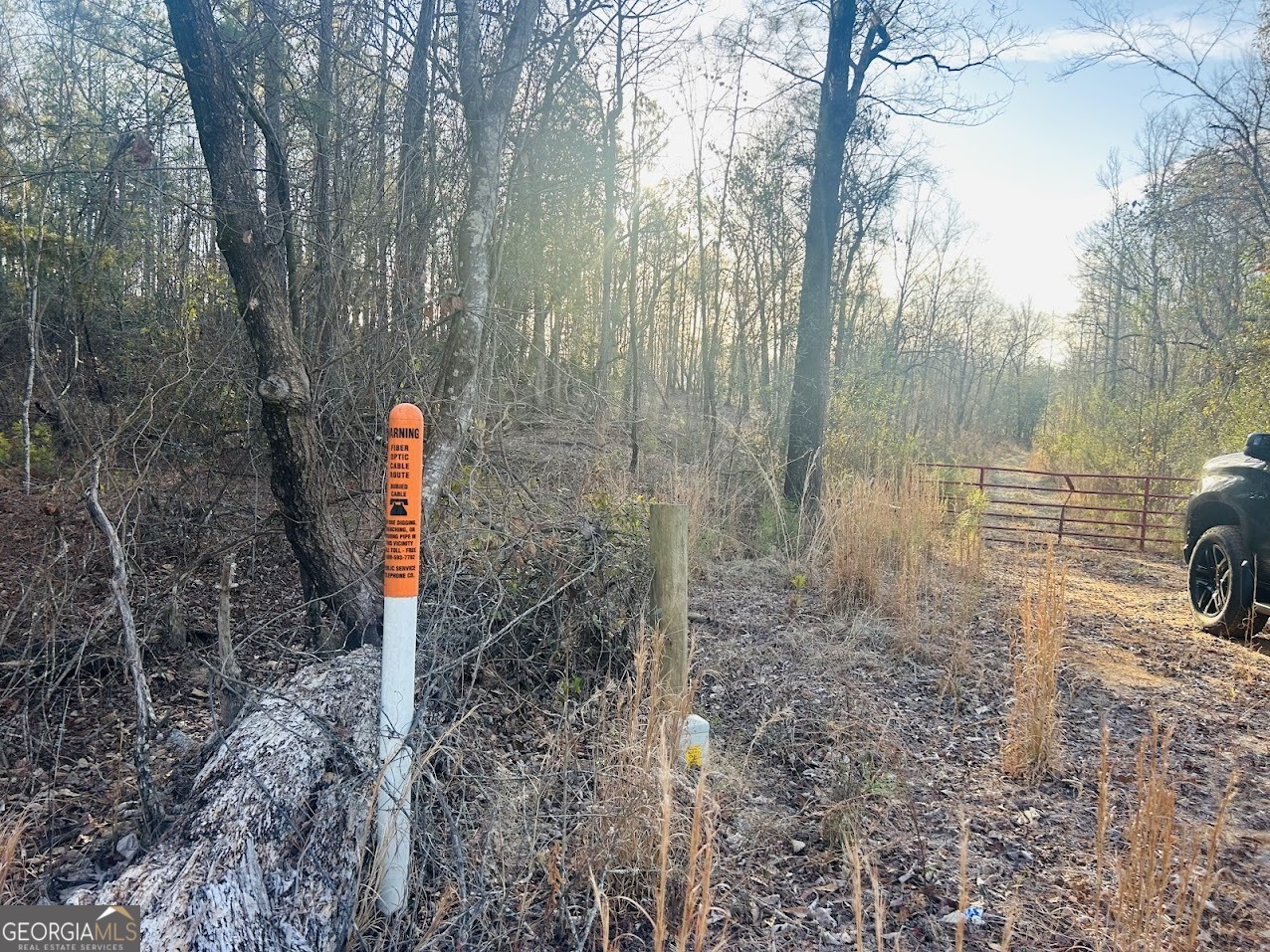 0 Bickley Road Butler GA 31006