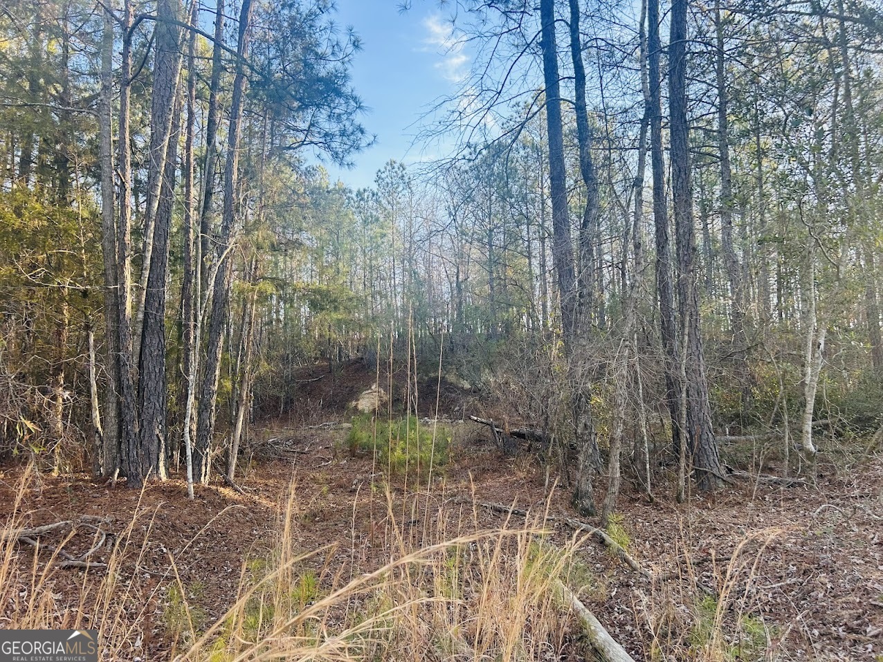 0 Bickley Road Butler GA 31006