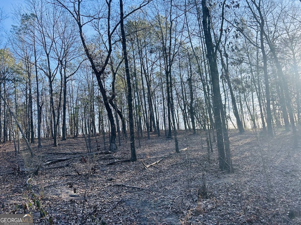 0 Bickley Road Butler GA 31006
