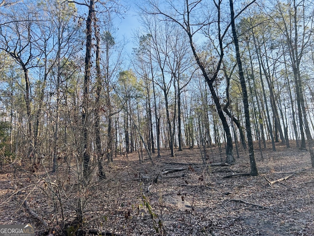 0 Bickley Road Butler GA 31006