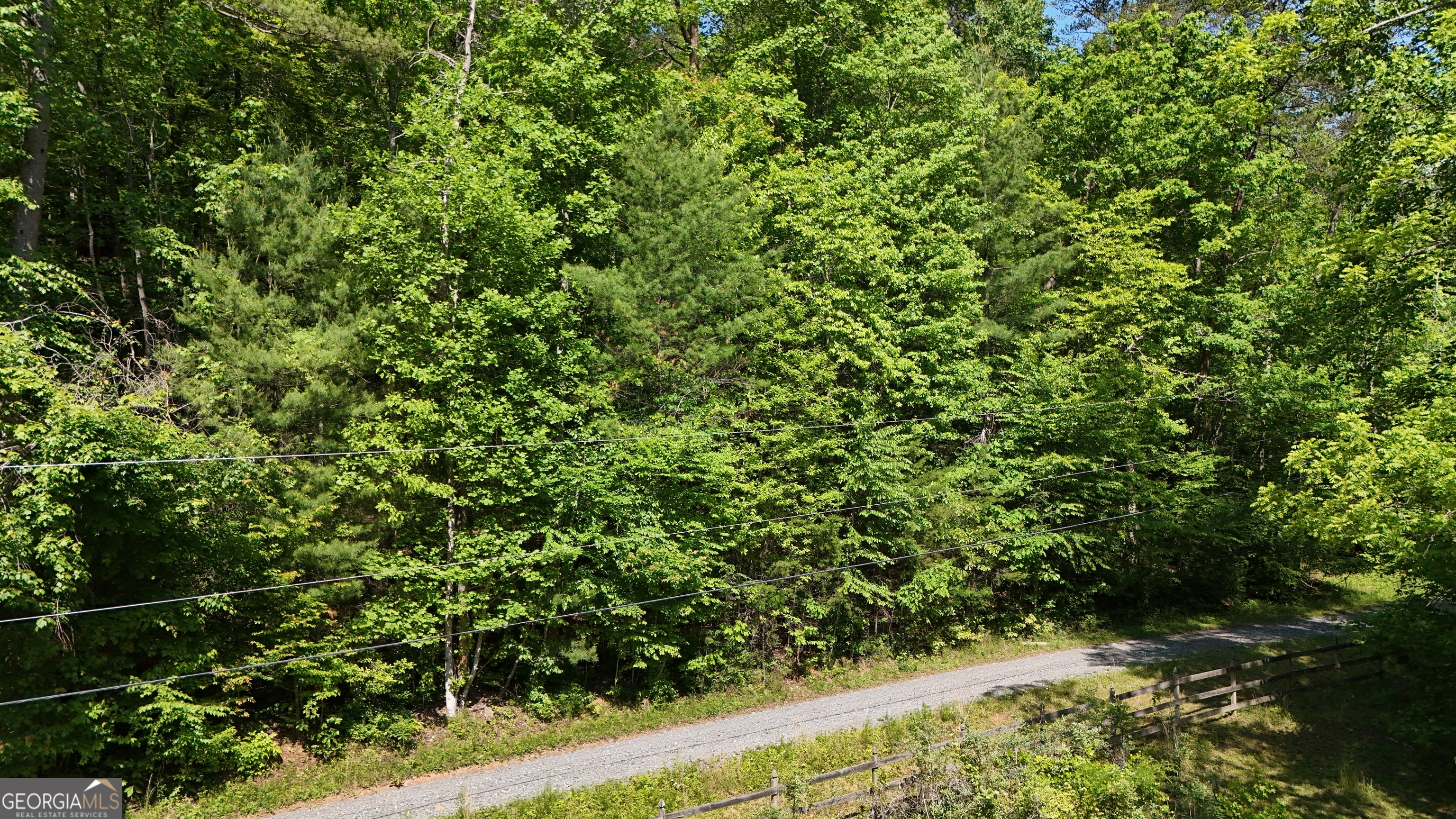 0 Gold Springs Road Cherry Log GA 30522