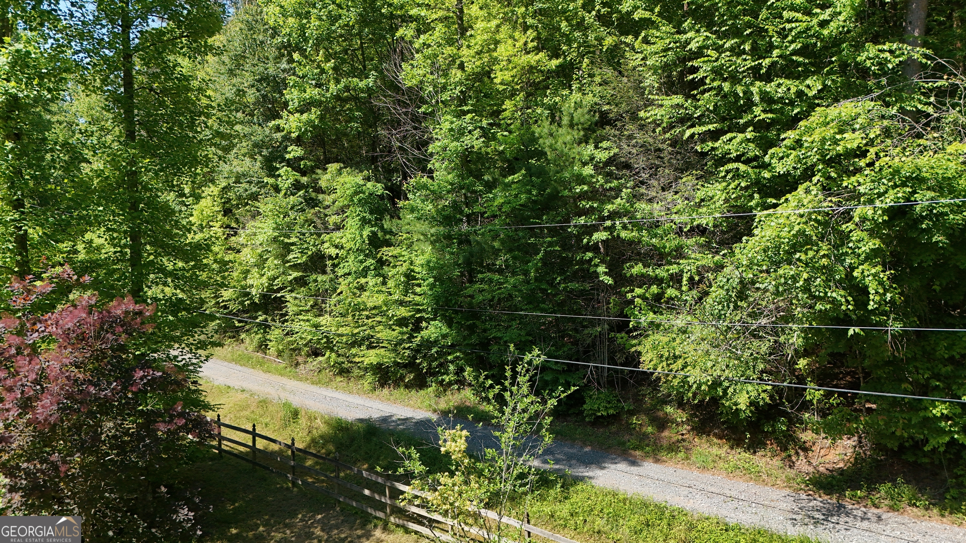 0 Gold Springs Road Cherry Log GA 30522