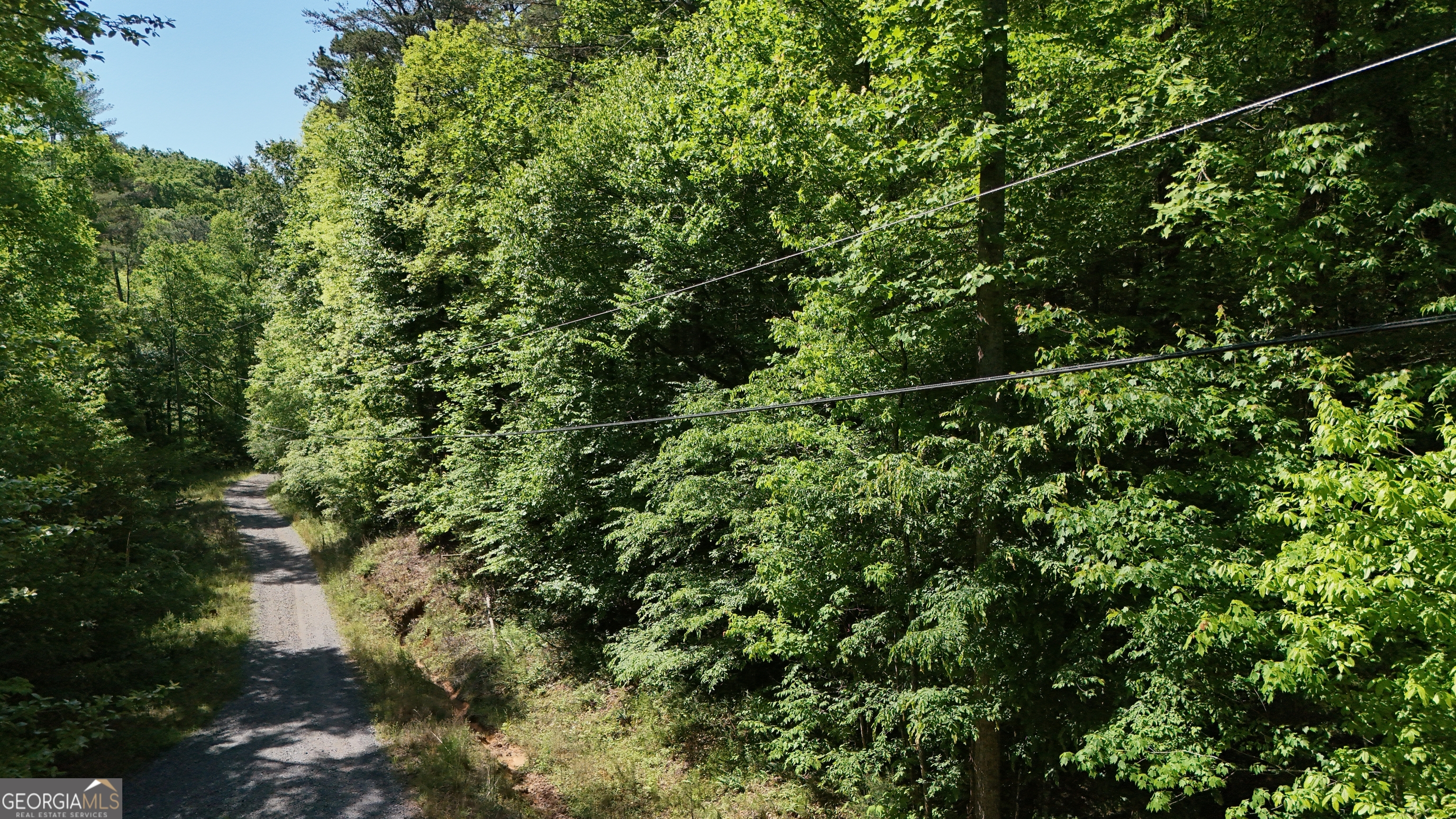 0 Gold Springs Road Cherry Log GA 30522
