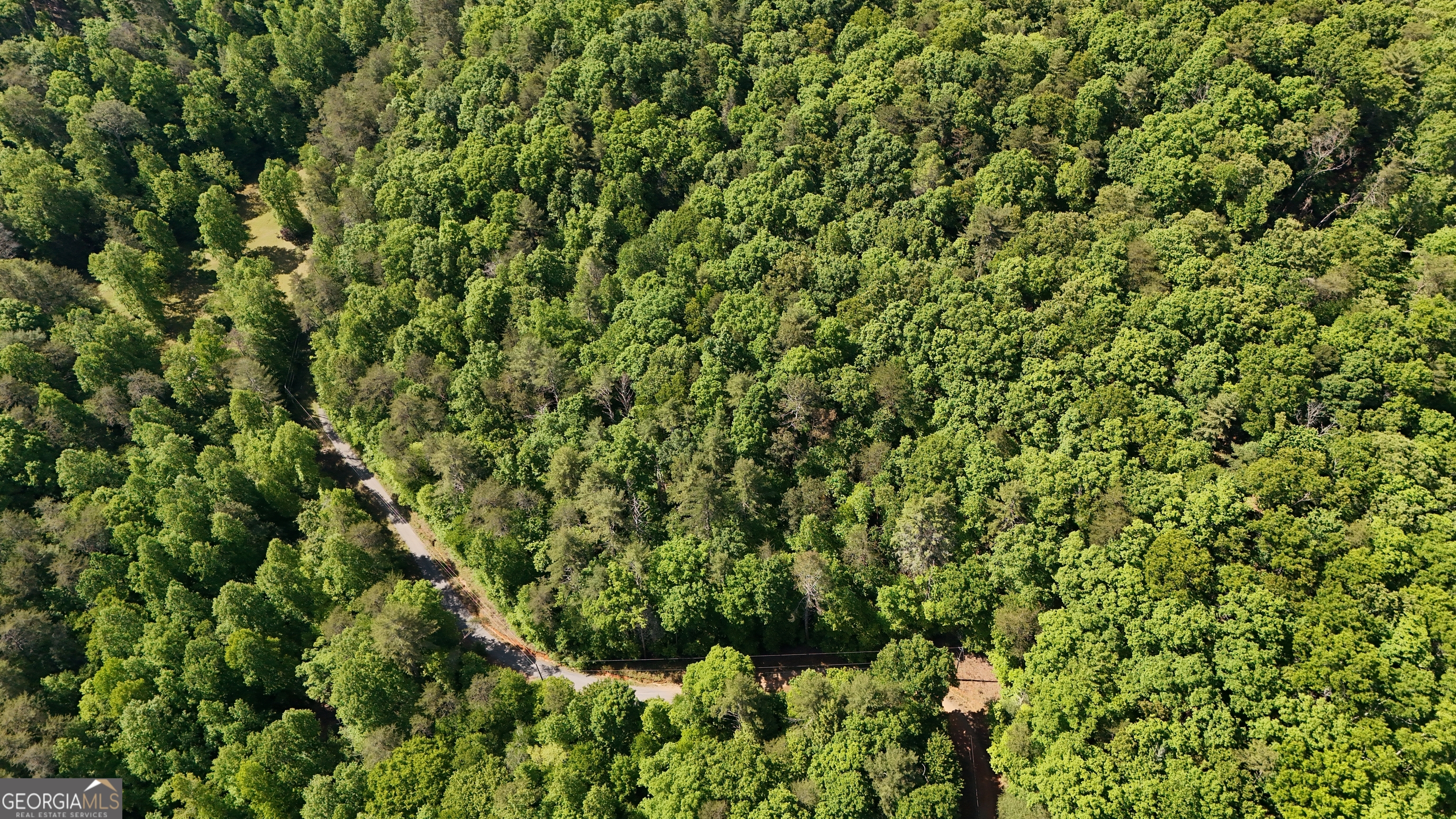 0 Gold Springs Road Cherry Log GA 30522