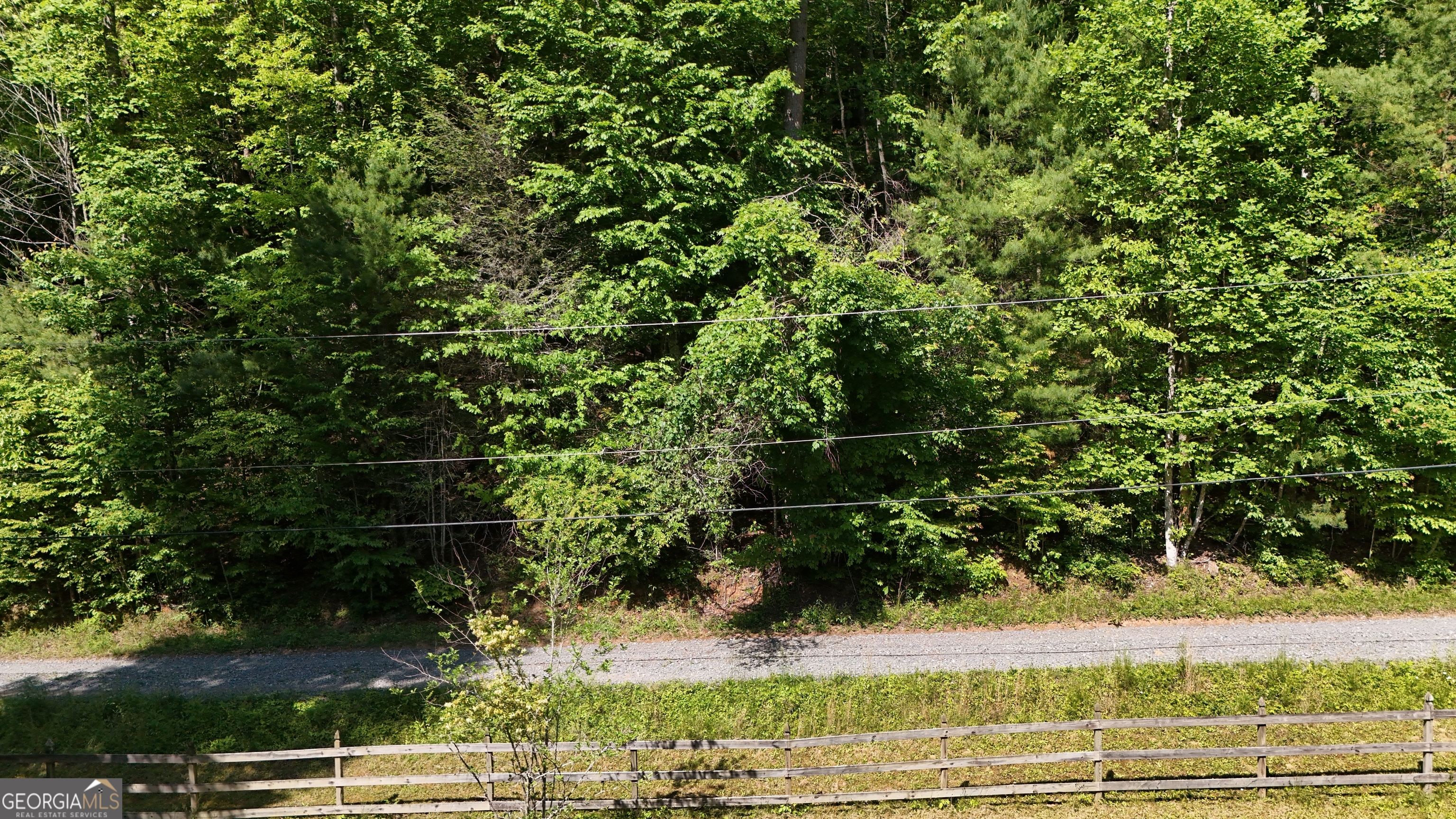 0 Gold Springs Road Cherry Log GA 30522