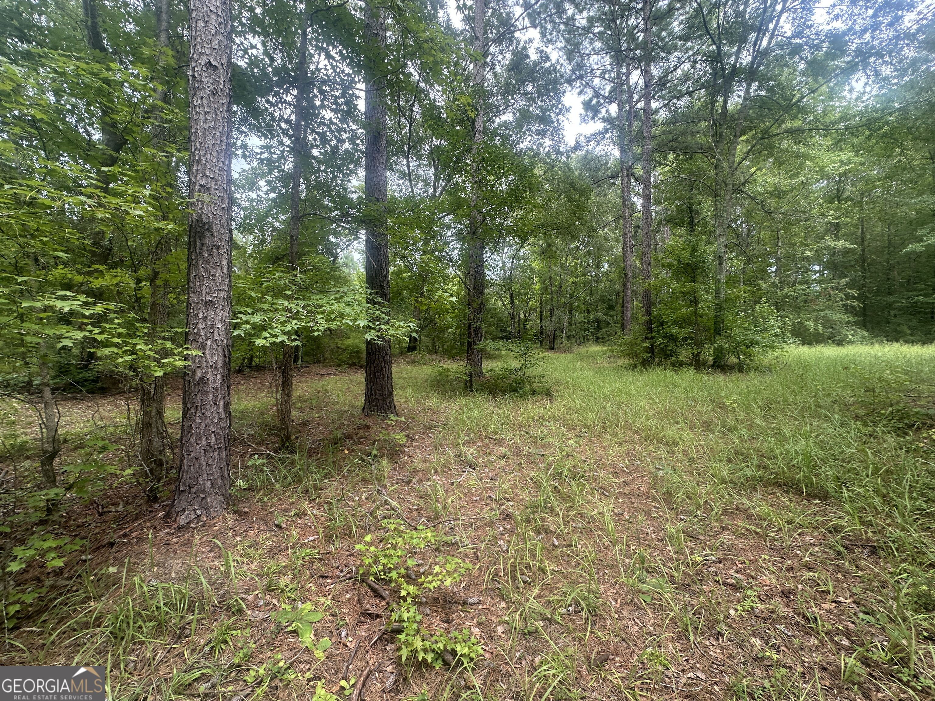 3693 Joyner Oglesby Road Sardis GA 30456