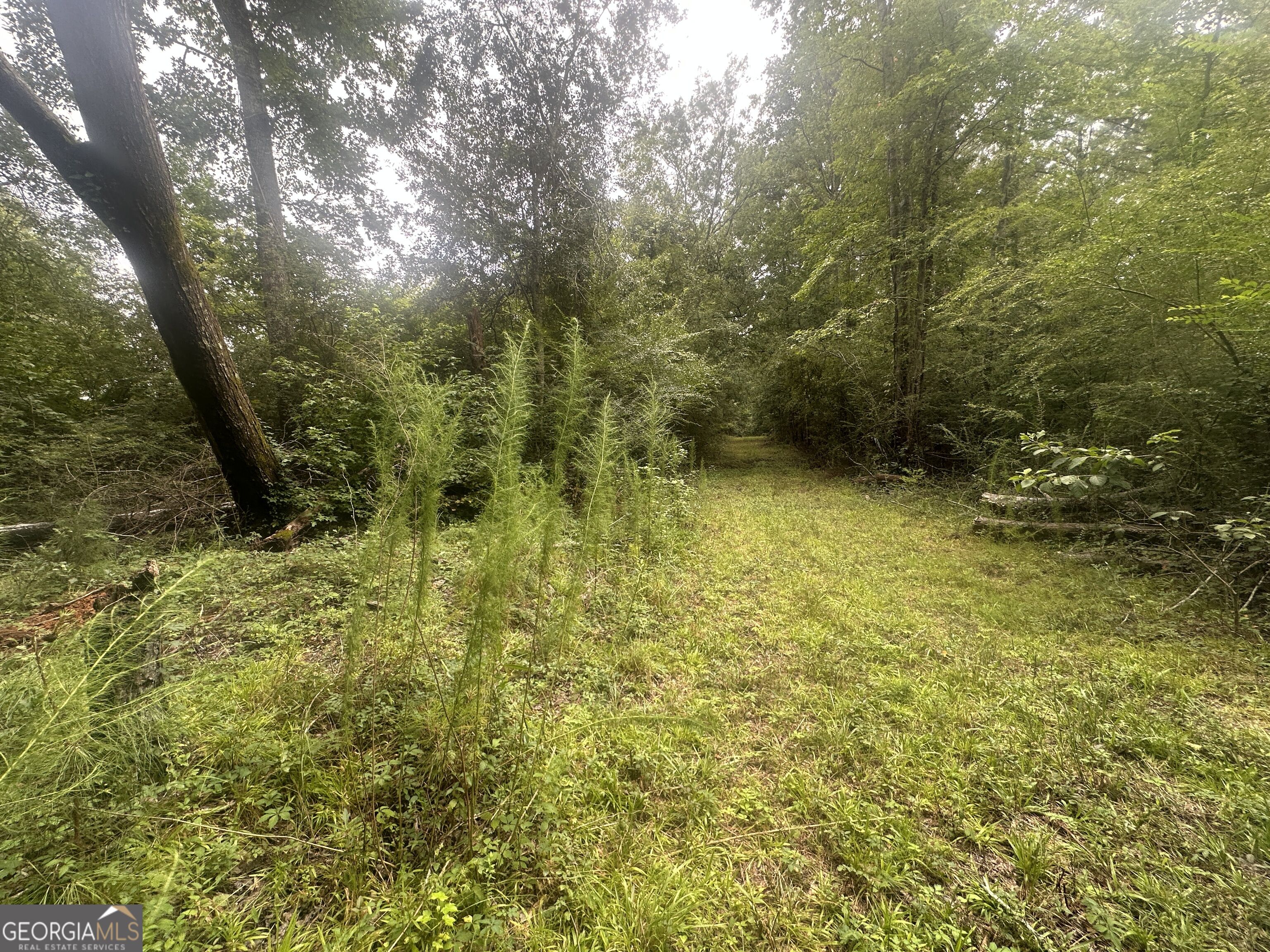 3693 Joyner Oglesby Road Sardis GA 30456