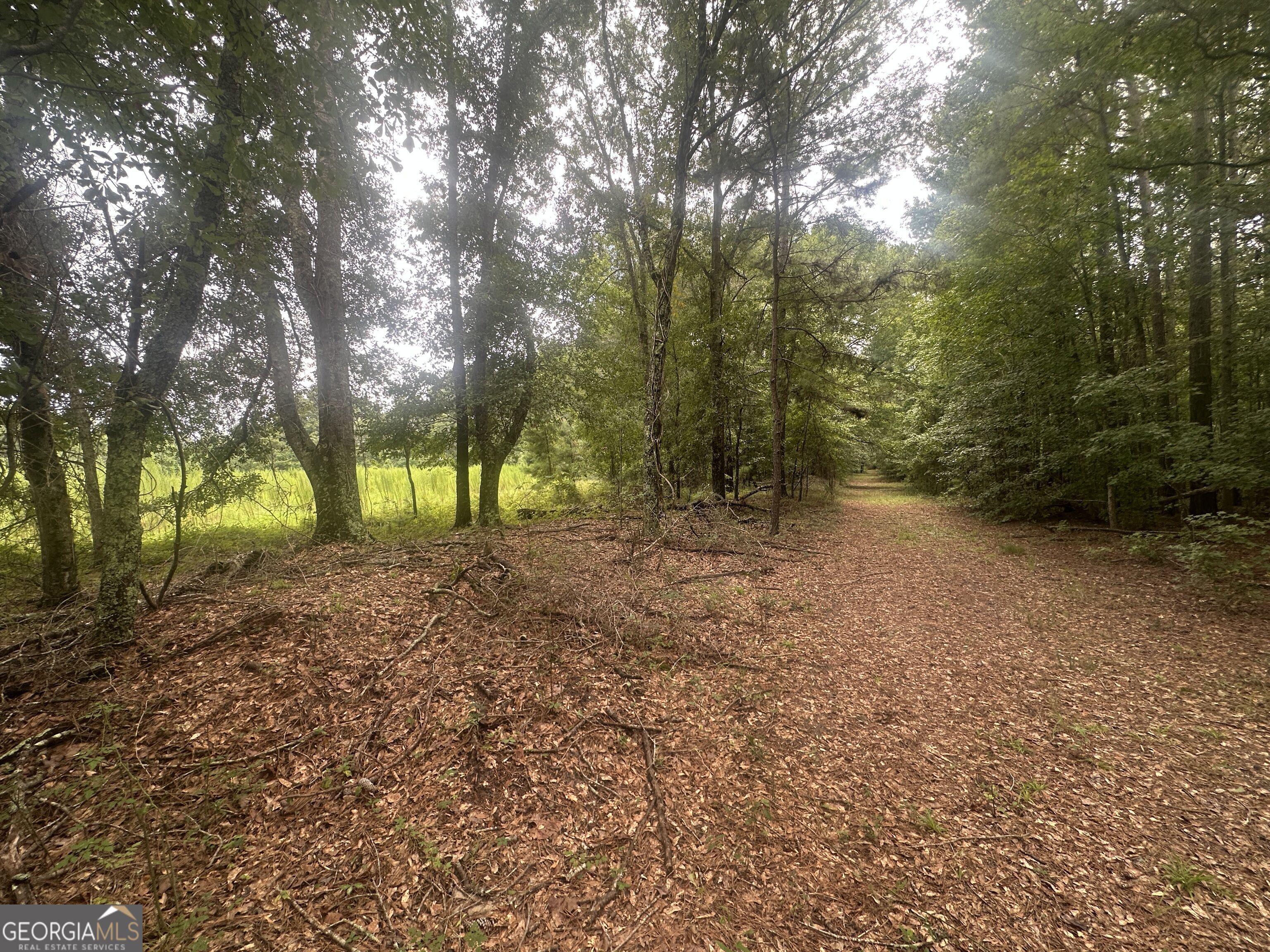 3693 Joyner Oglesby Road Sardis GA 30456