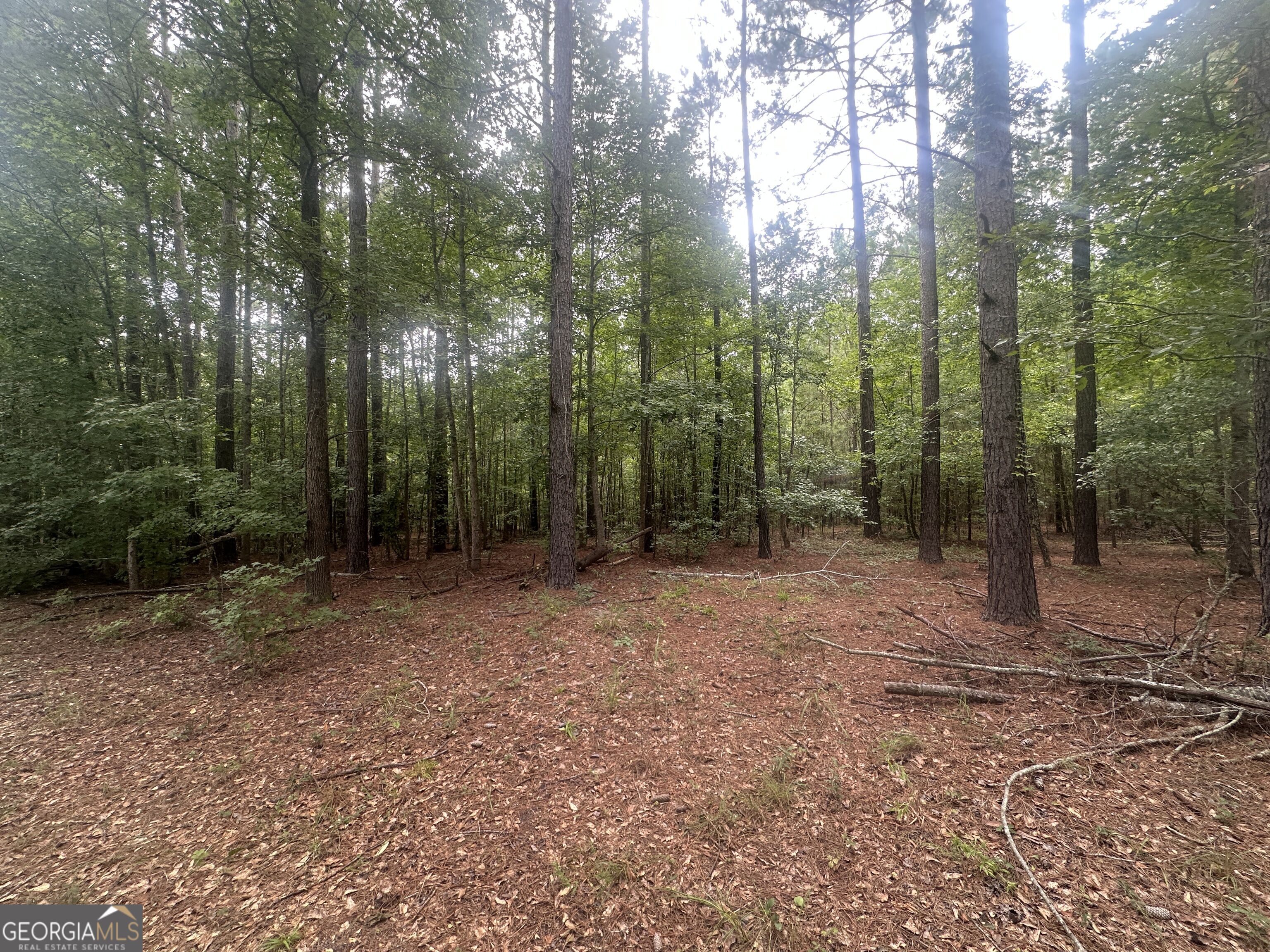 3693 Joyner Oglesby Road Sardis GA 30456