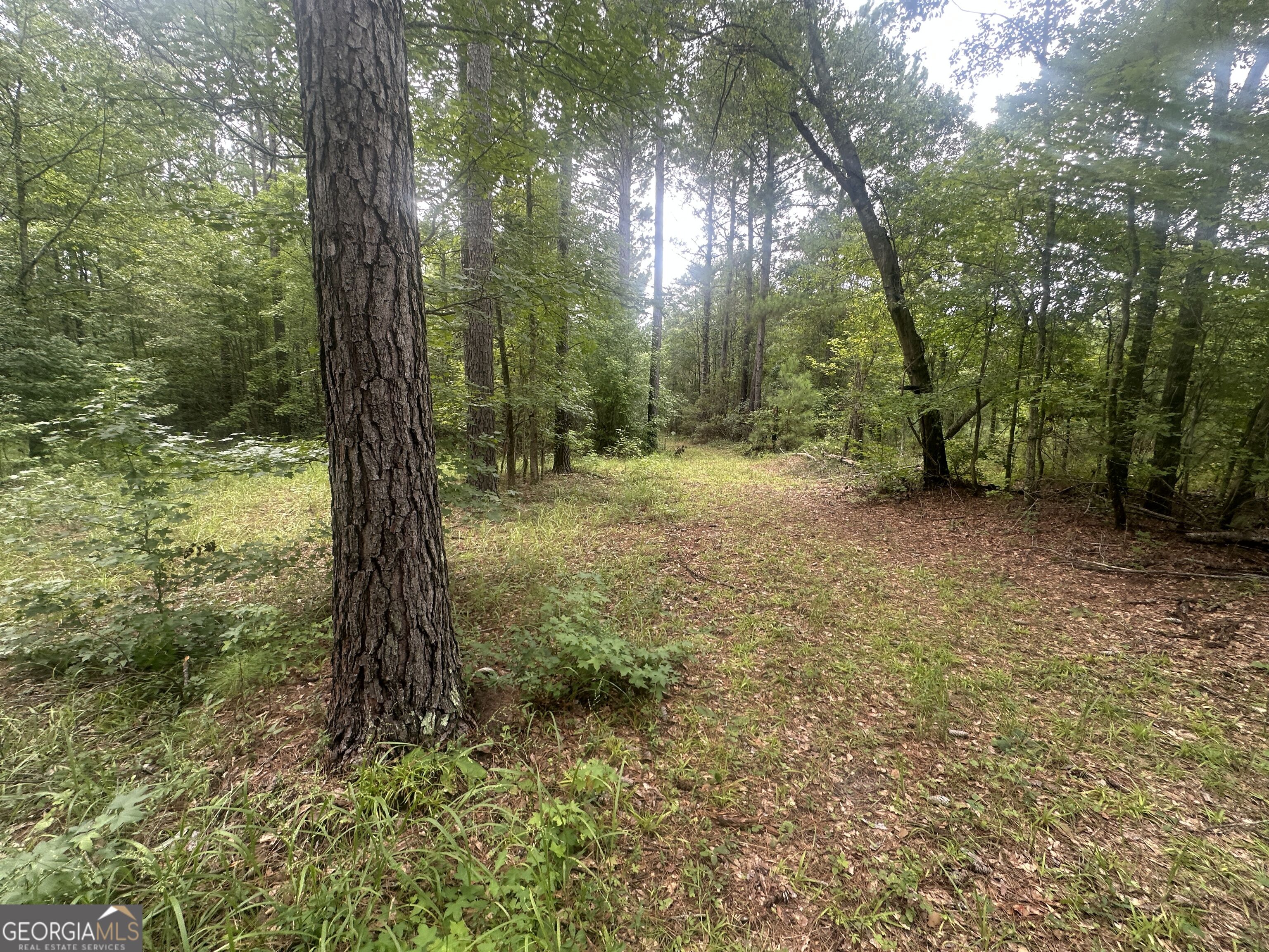 3693 Joyner Oglesby Road Sardis GA 30456
