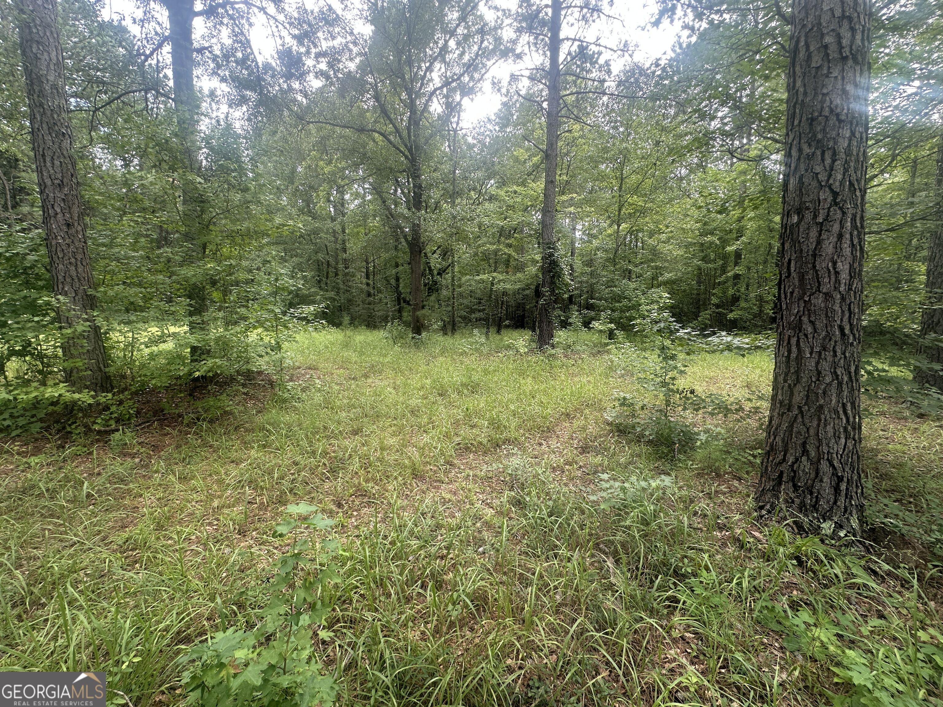 3693 Joyner Oglesby Road Sardis GA 30456