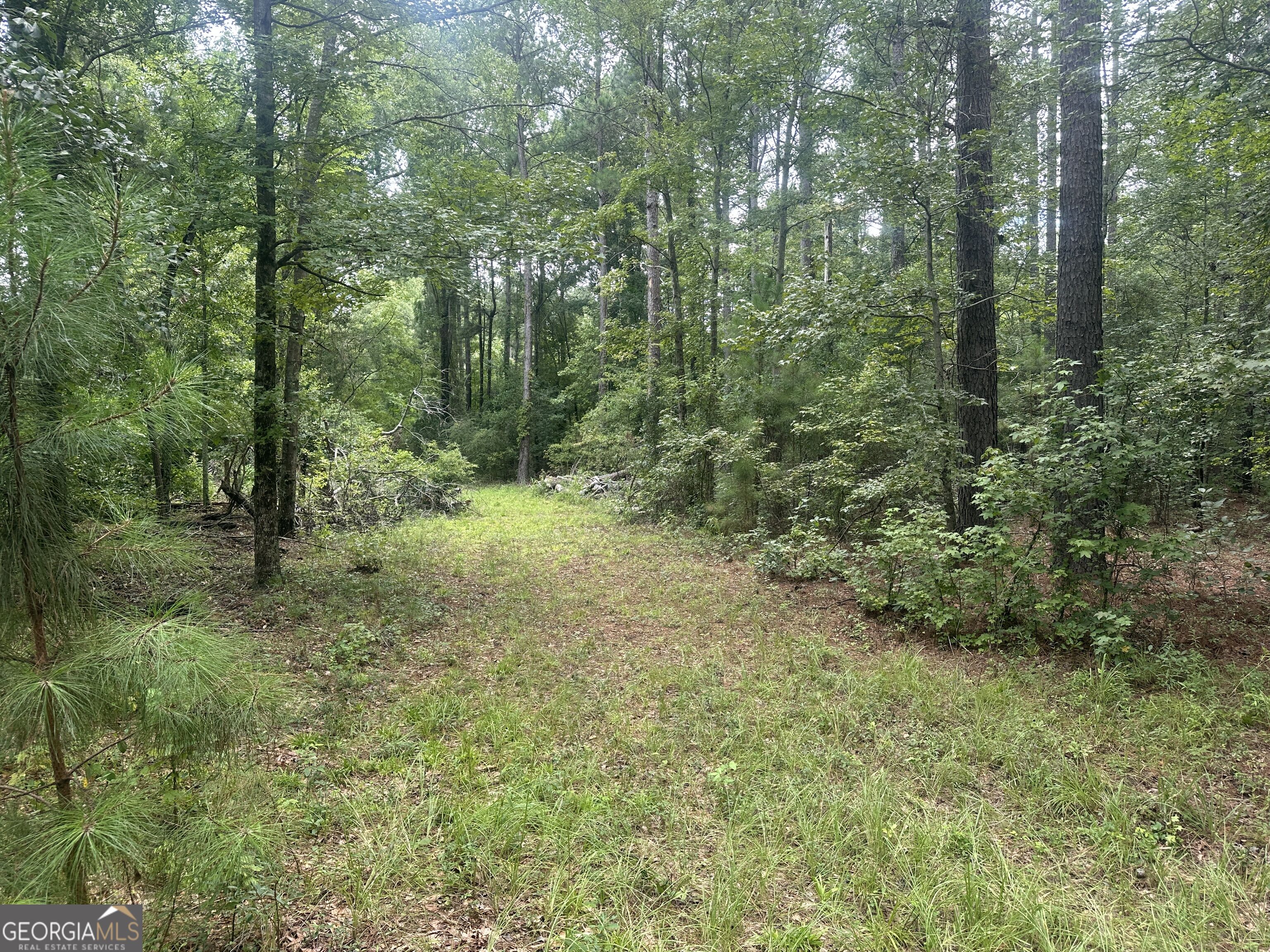 3693 Joyner Oglesby Road Sardis GA 30456