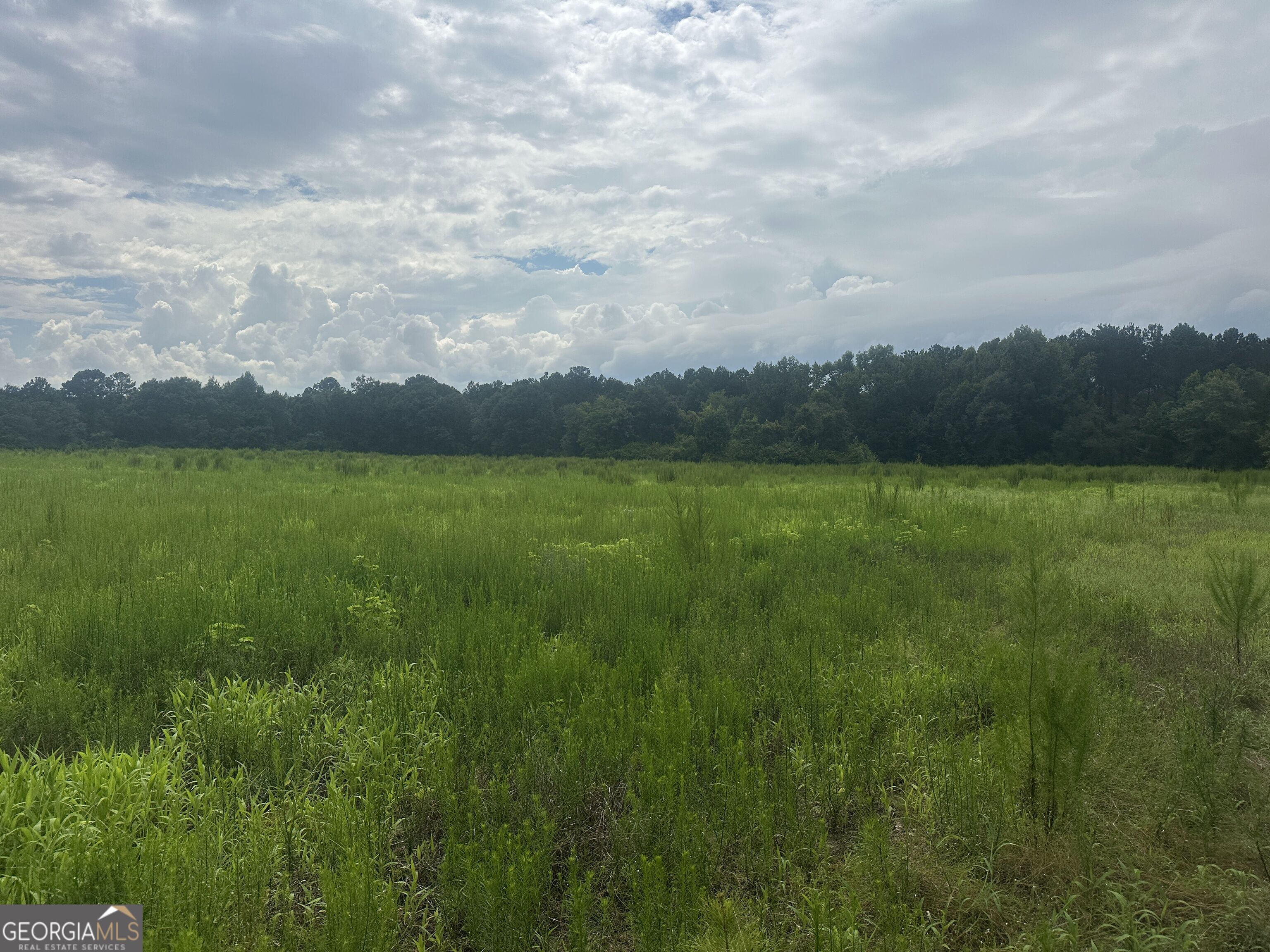 3693 Joyner Oglesby Road Sardis GA 30456