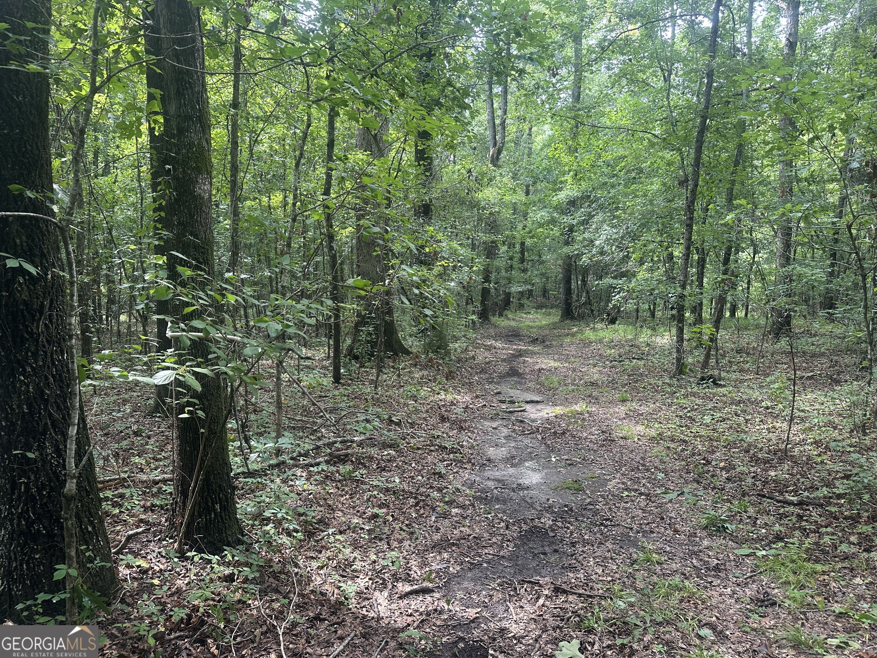 3693 Joyner Oglesby Road Sardis GA 30456