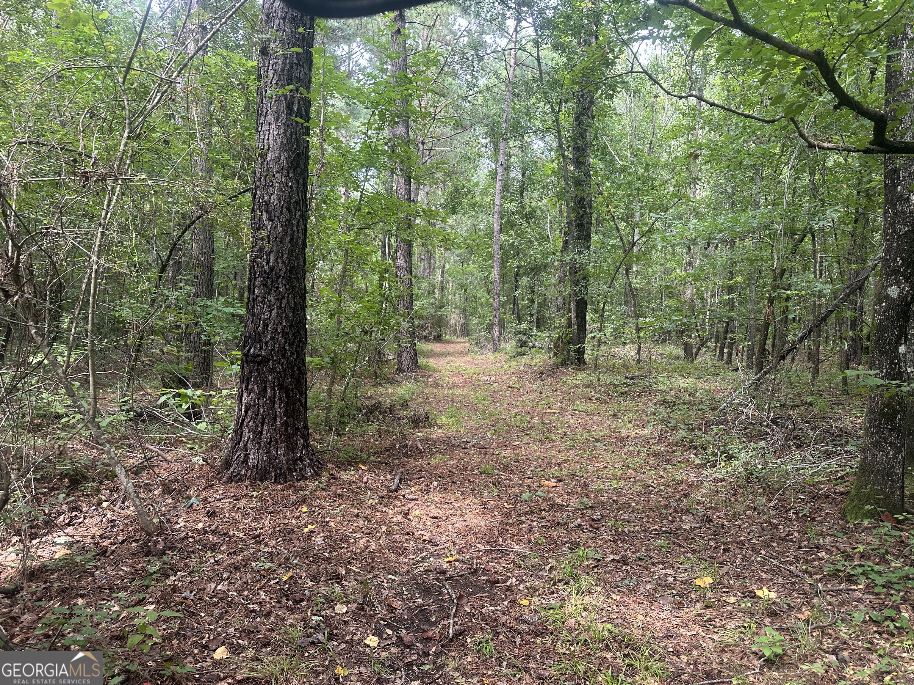 3693 Joyner Oglesby Road Sardis GA 30456
