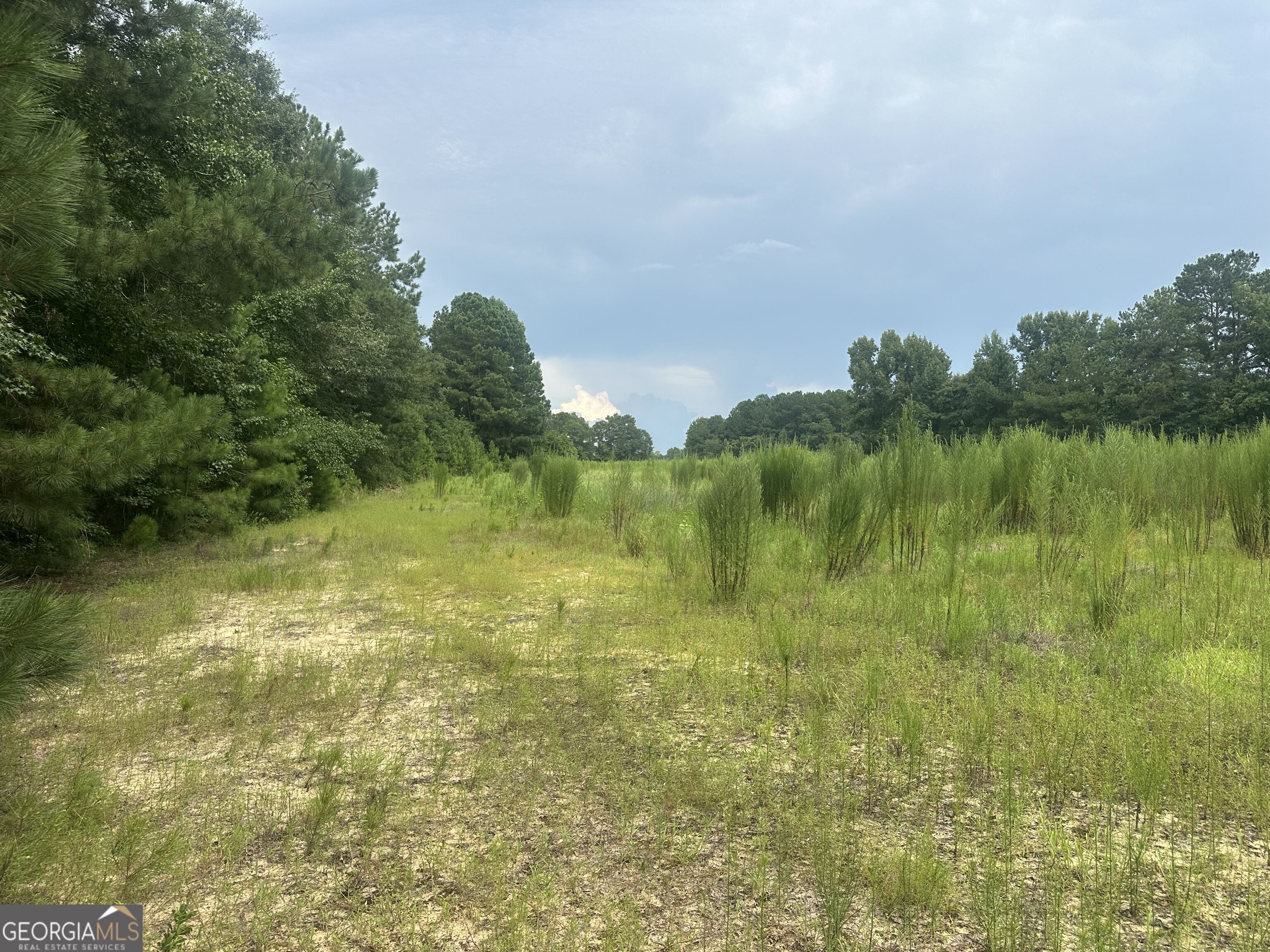 3693 Joyner Oglesby Road Sardis GA 30456