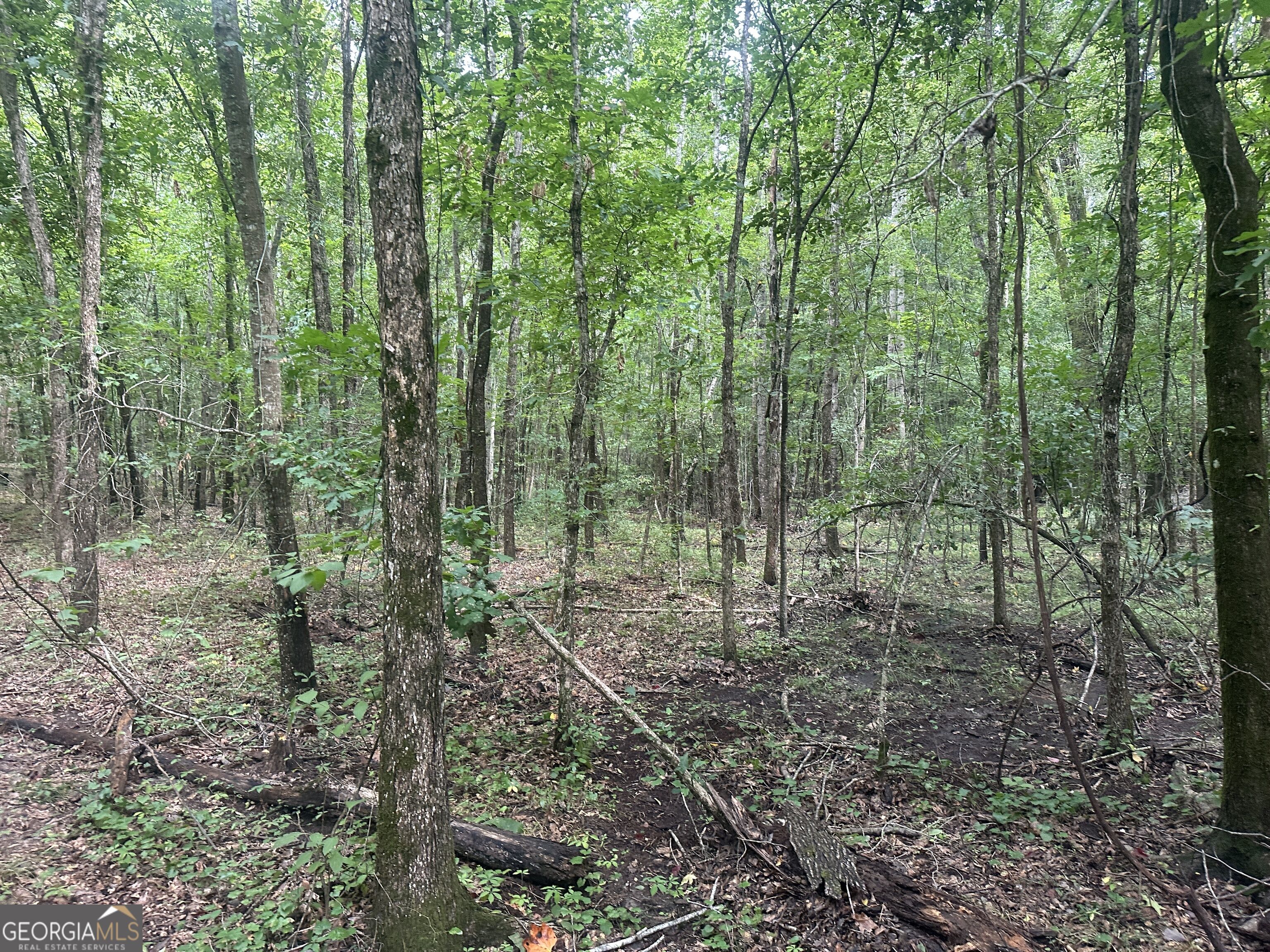3693 Joyner Oglesby Road Sardis GA 30456