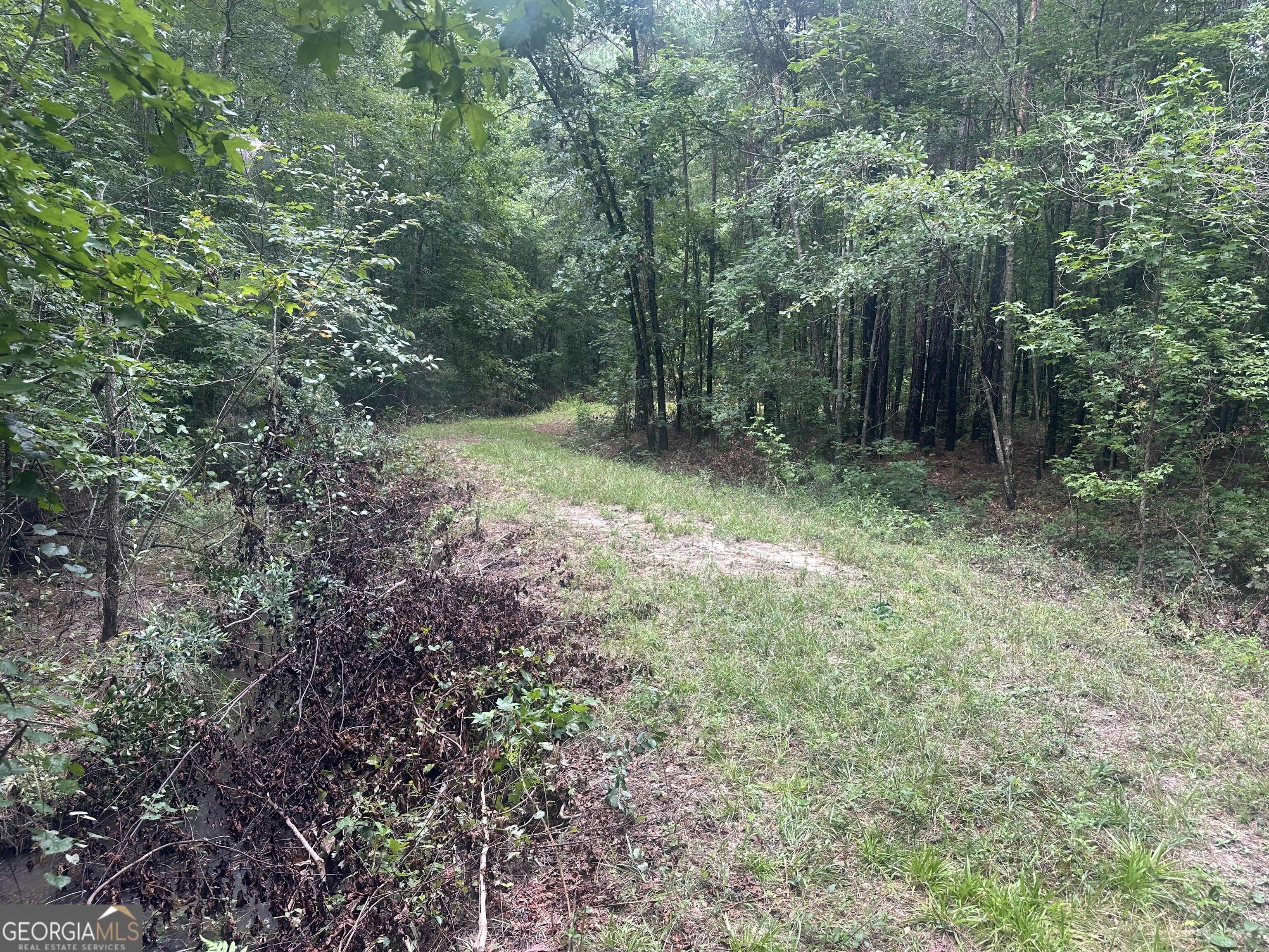 3693 Joyner Oglesby Road Sardis GA 30456