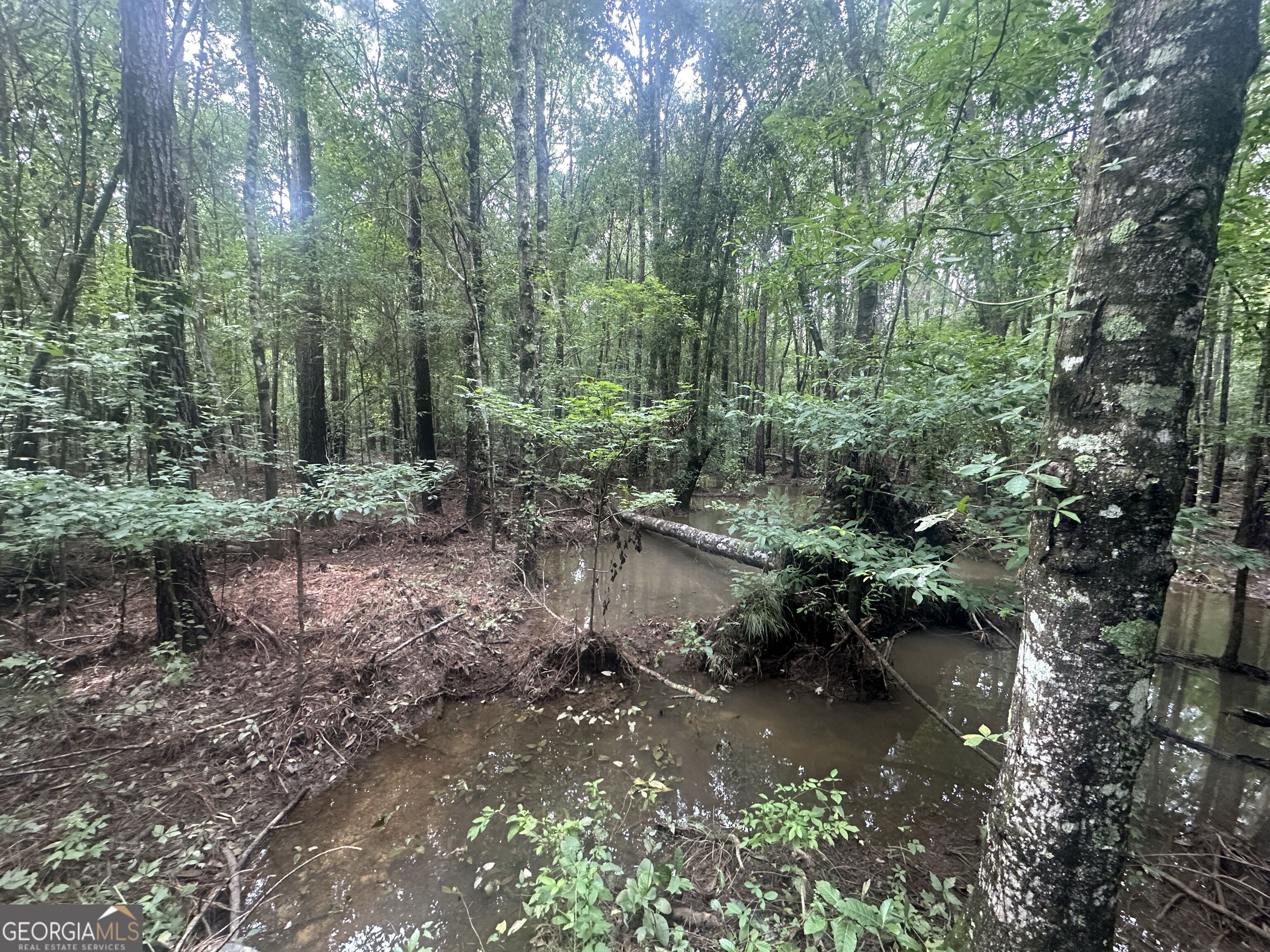 3693 Joyner Oglesby Road Sardis GA 30456