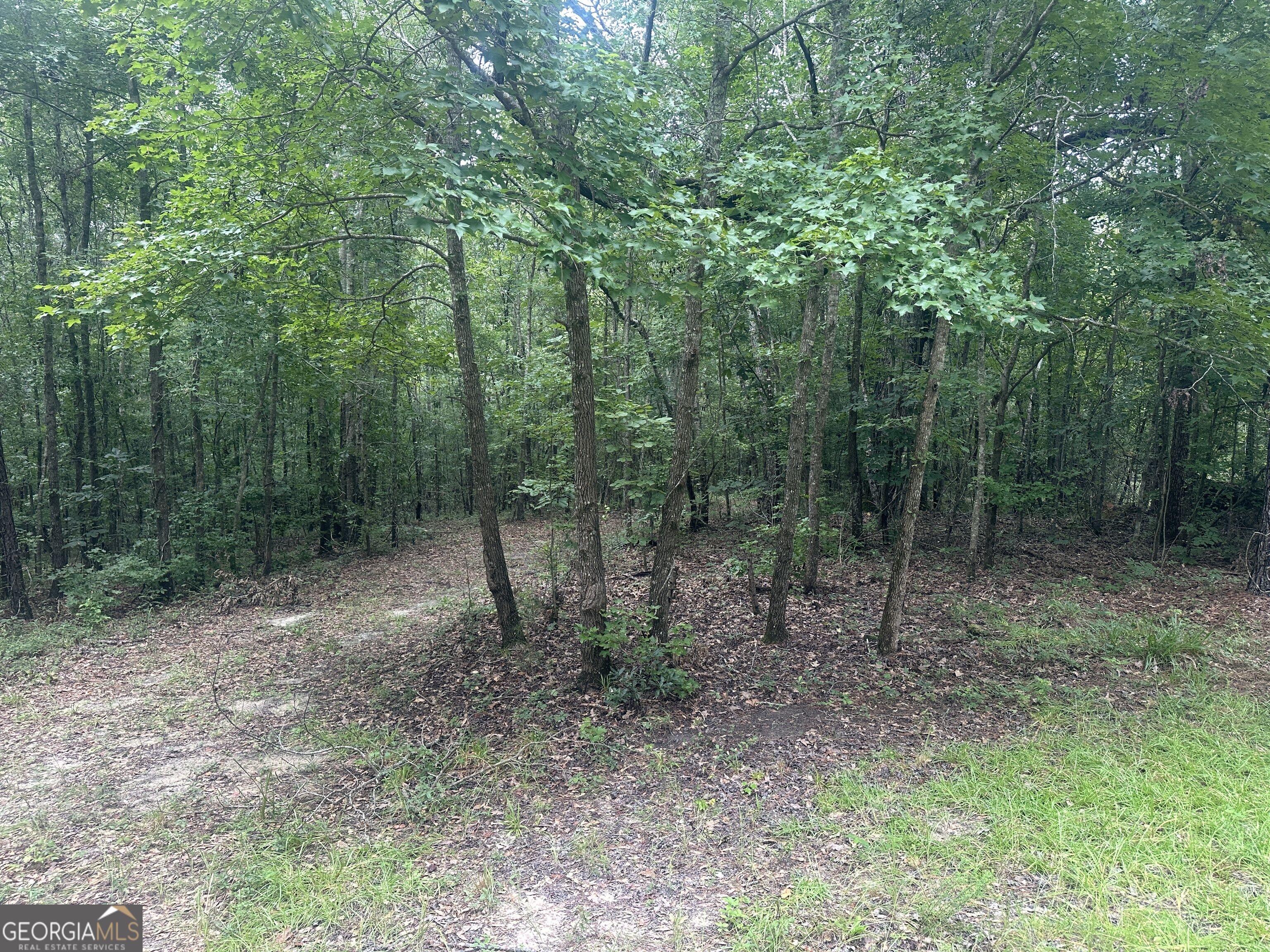 3693 Joyner Oglesby Road Sardis GA 30456
