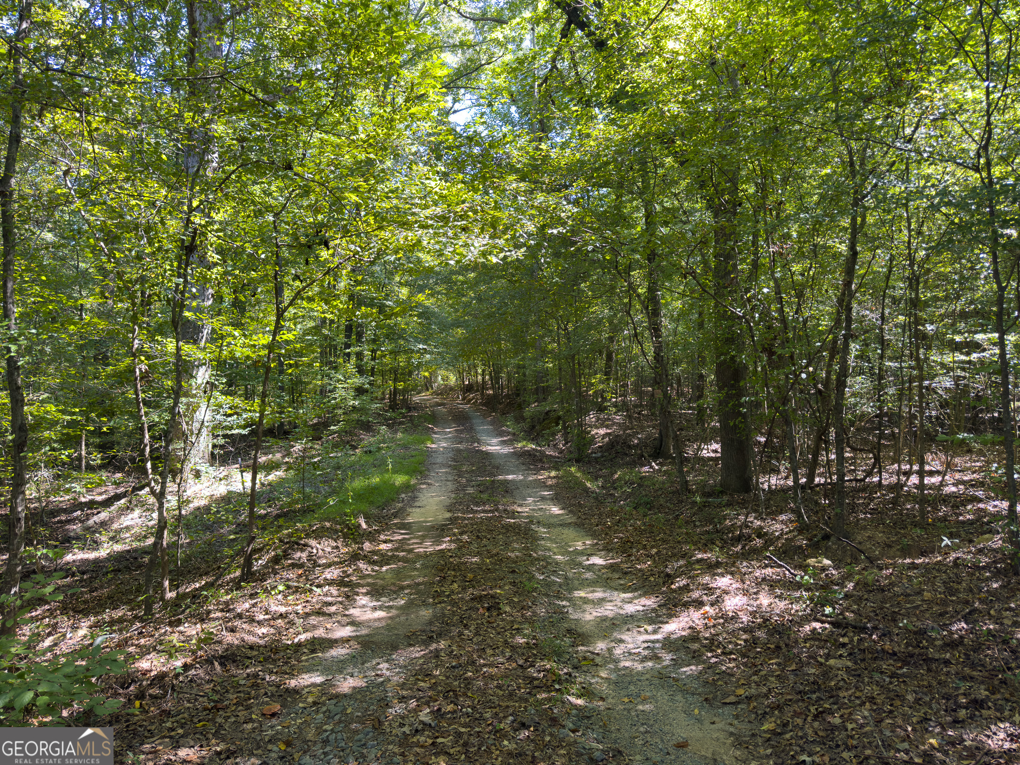 3086 Gray Highway Macon GA 31211