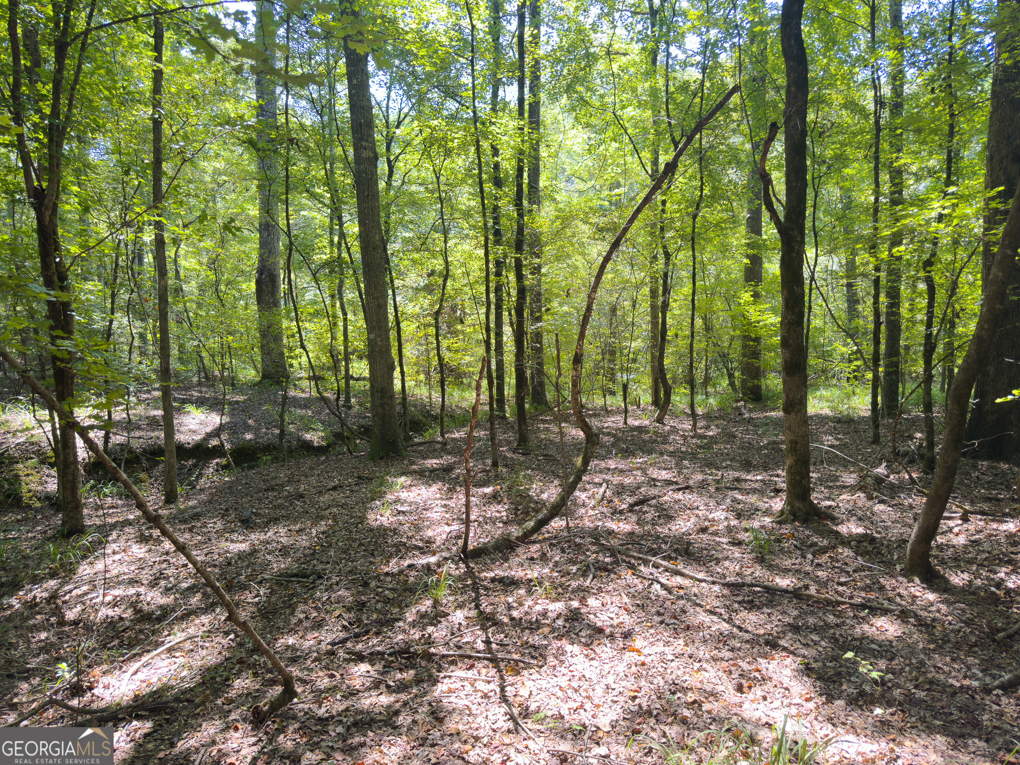 3086 Gray Highway Macon GA 31211