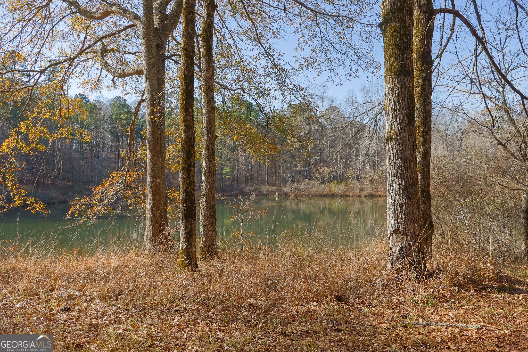 3086 Gray Highway Macon GA 31211