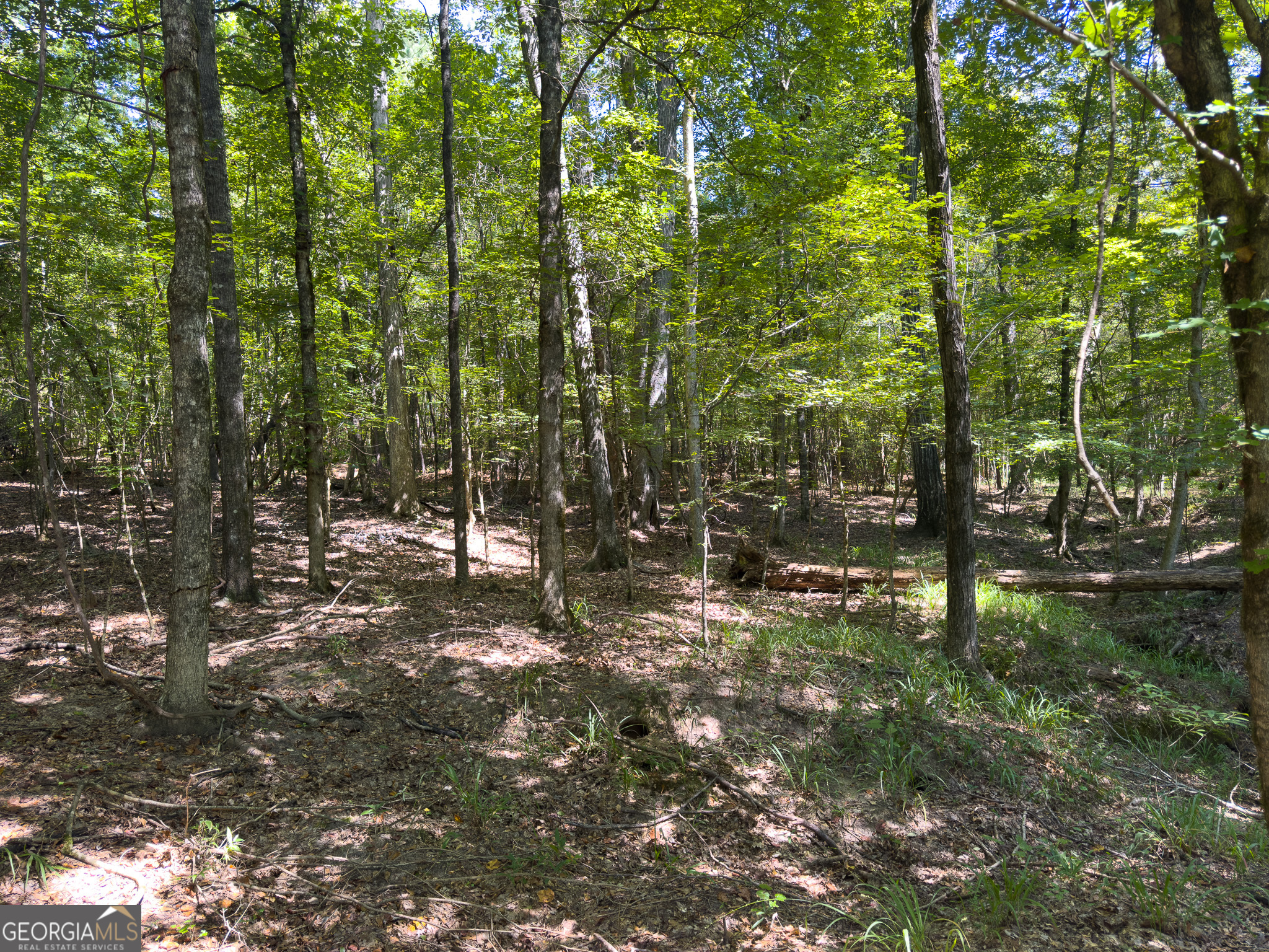 3086 Gray Highway Macon GA 31211