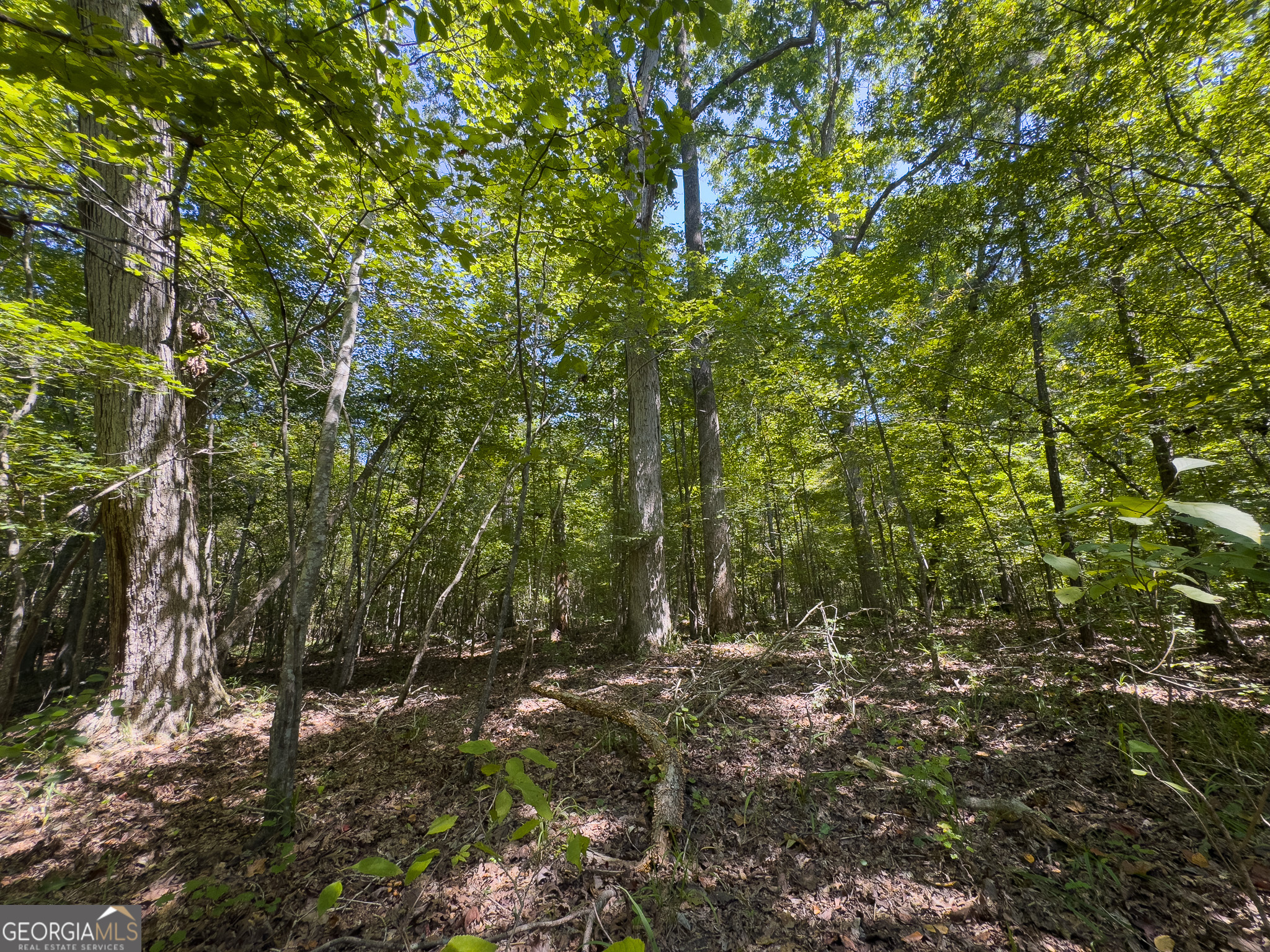 3086 Gray Highway Macon GA 31211