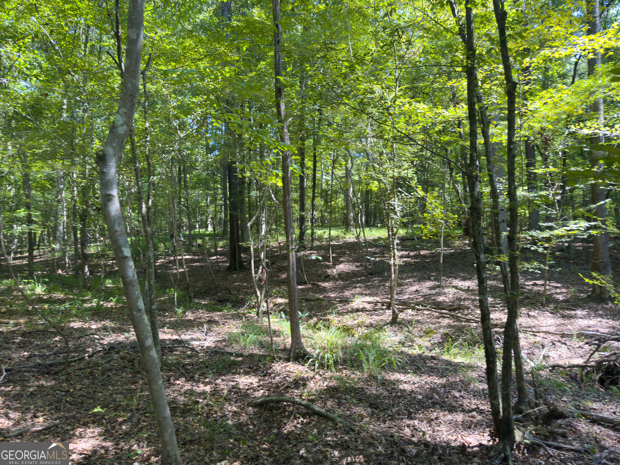 3086 Gray Highway Macon GA 31211