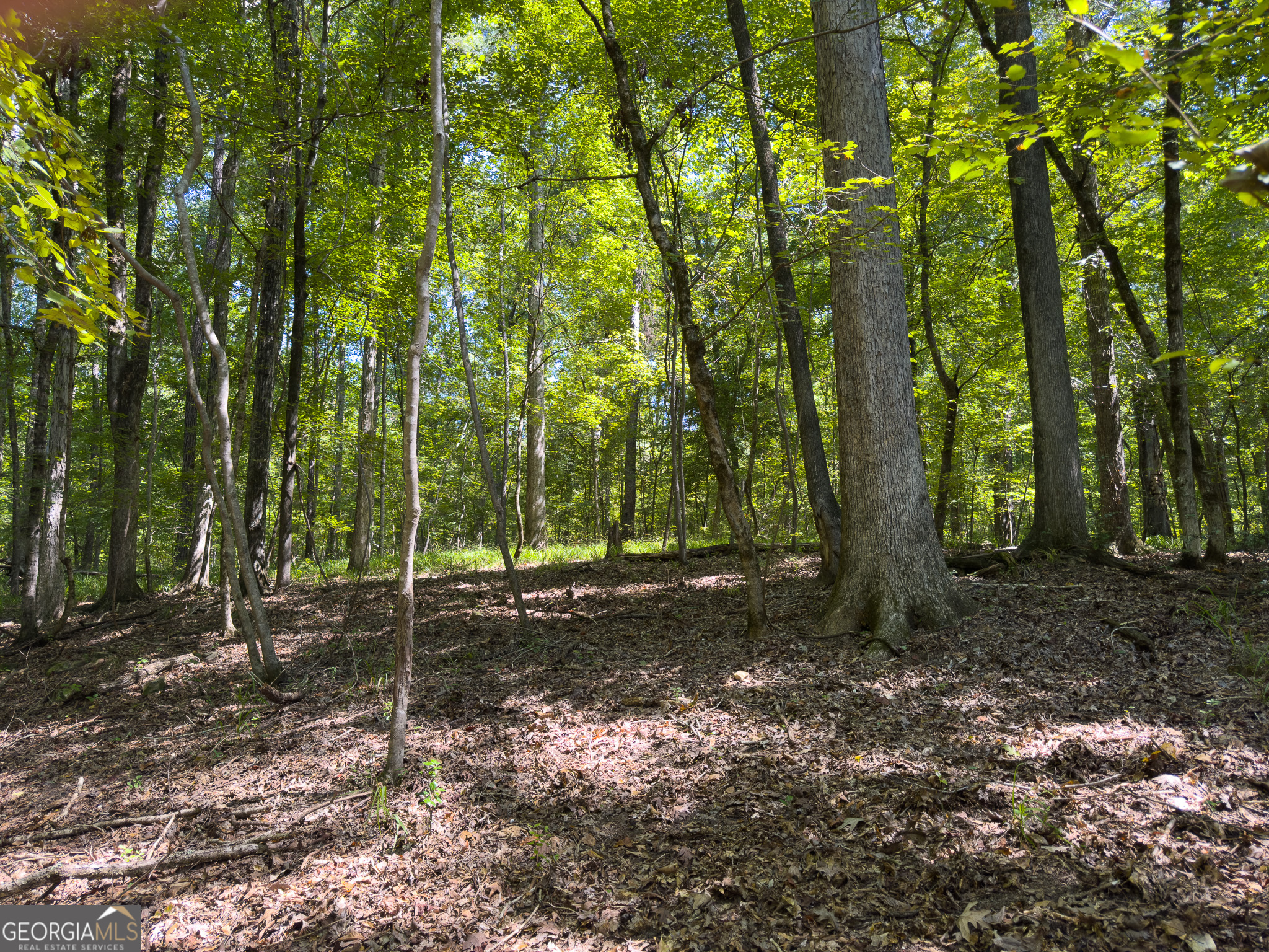3086 Gray Highway Macon GA 31211