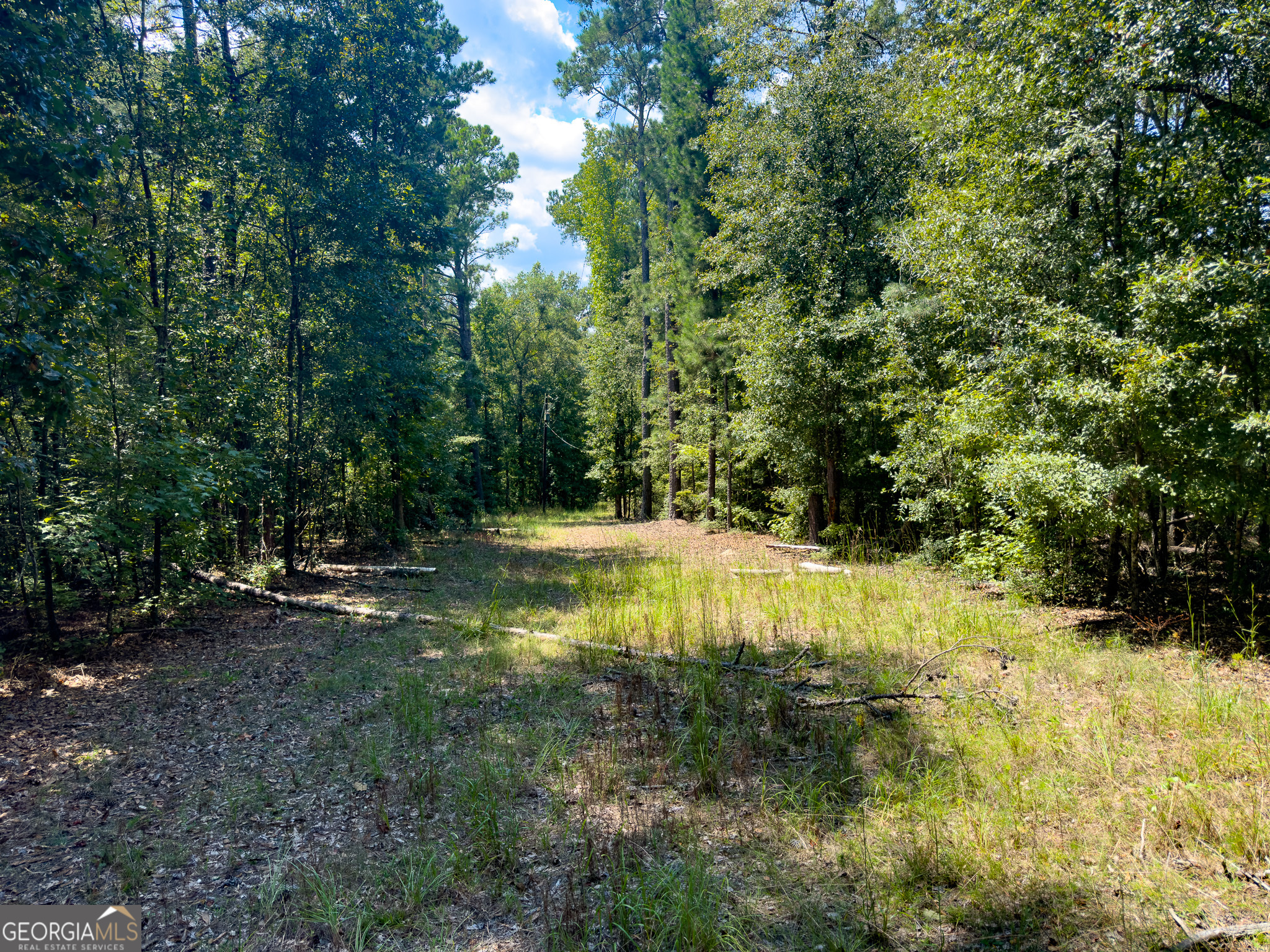 3086 Gray Highway Macon GA 31211