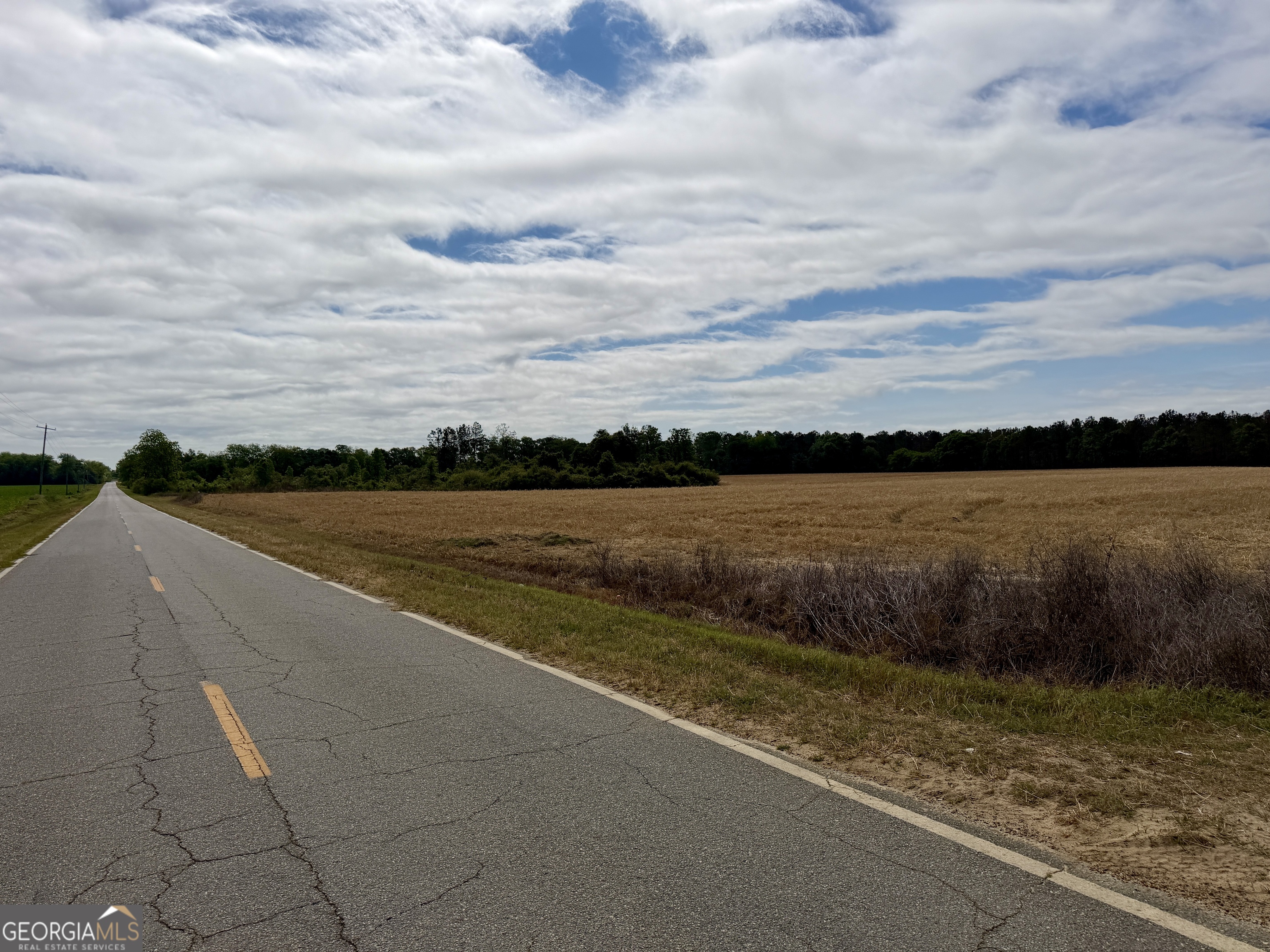 0 Folds Road Pineview GA 31071
