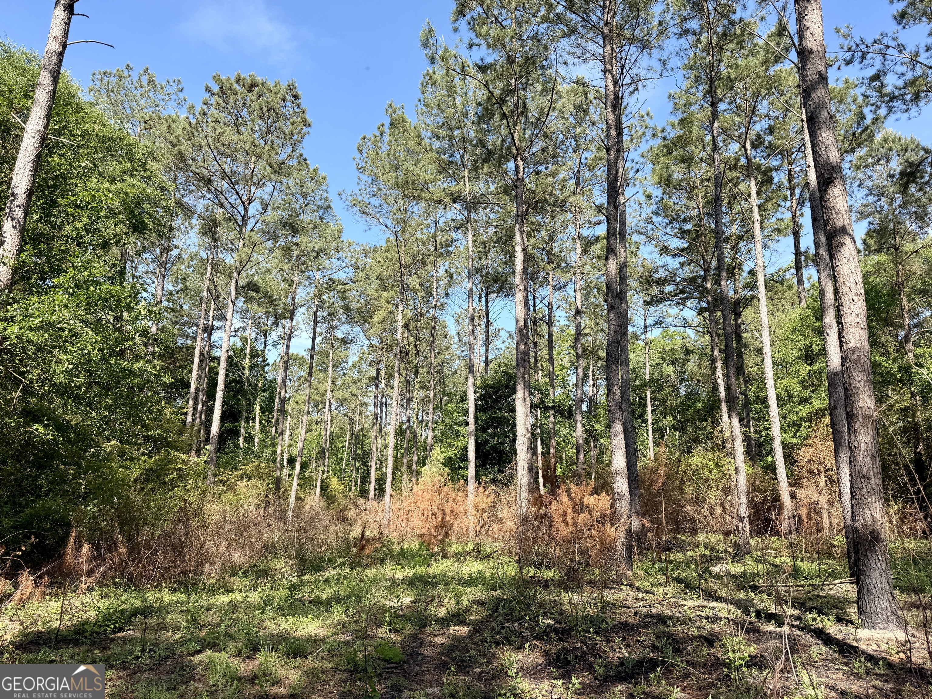 0 Folds Road Pineview GA 31071